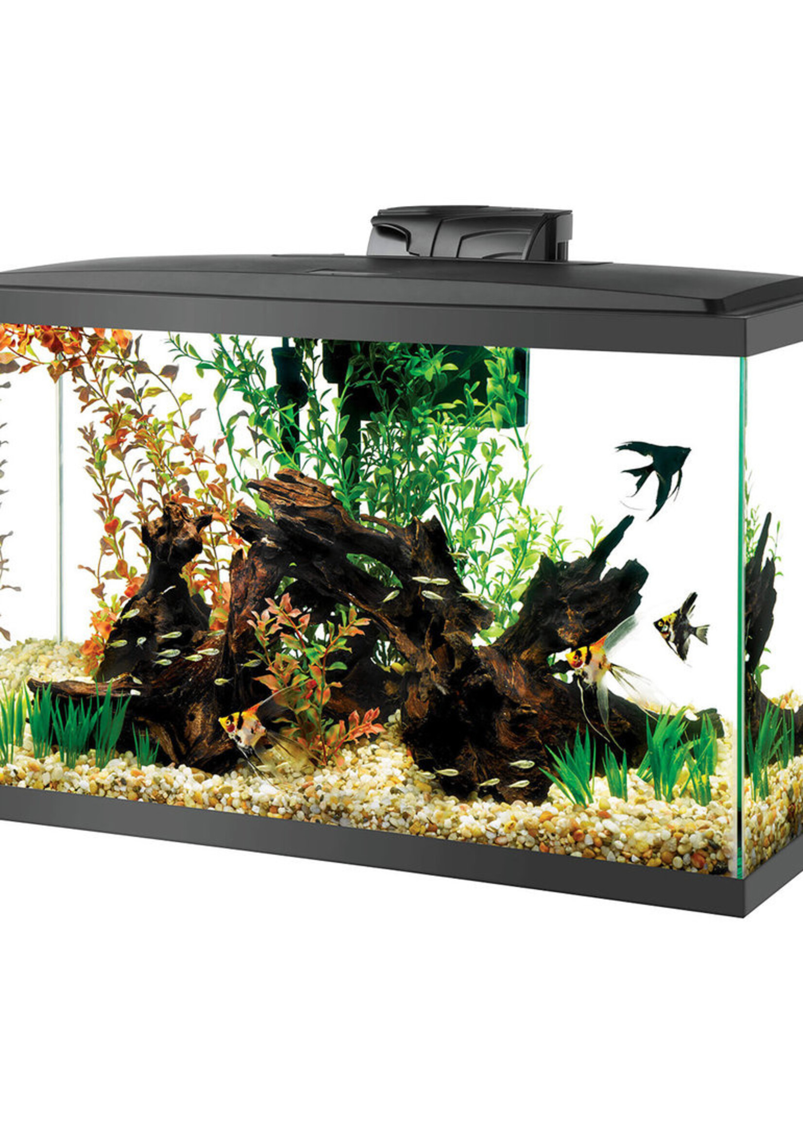 Aqueon Aqueon LED Deluxe Aquarium Kit Black 29 gallon