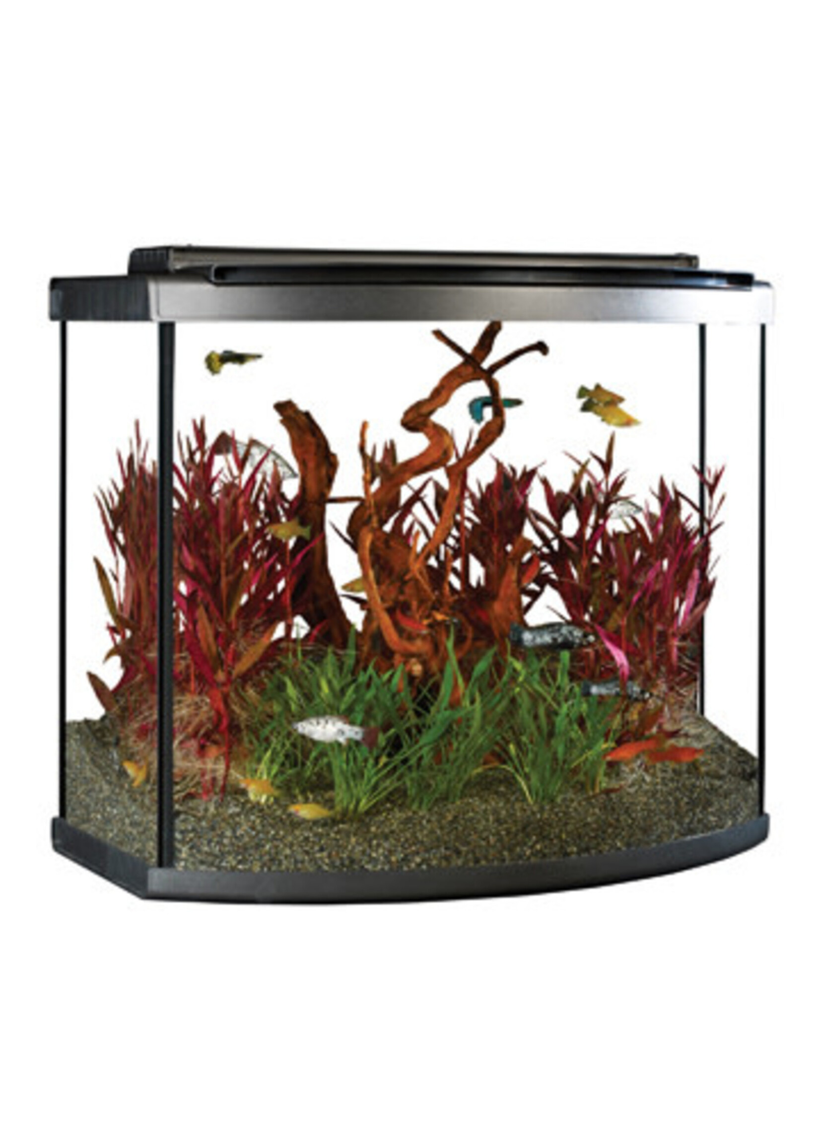 Fluval Fluval Premium Aquarium Kit w/LED