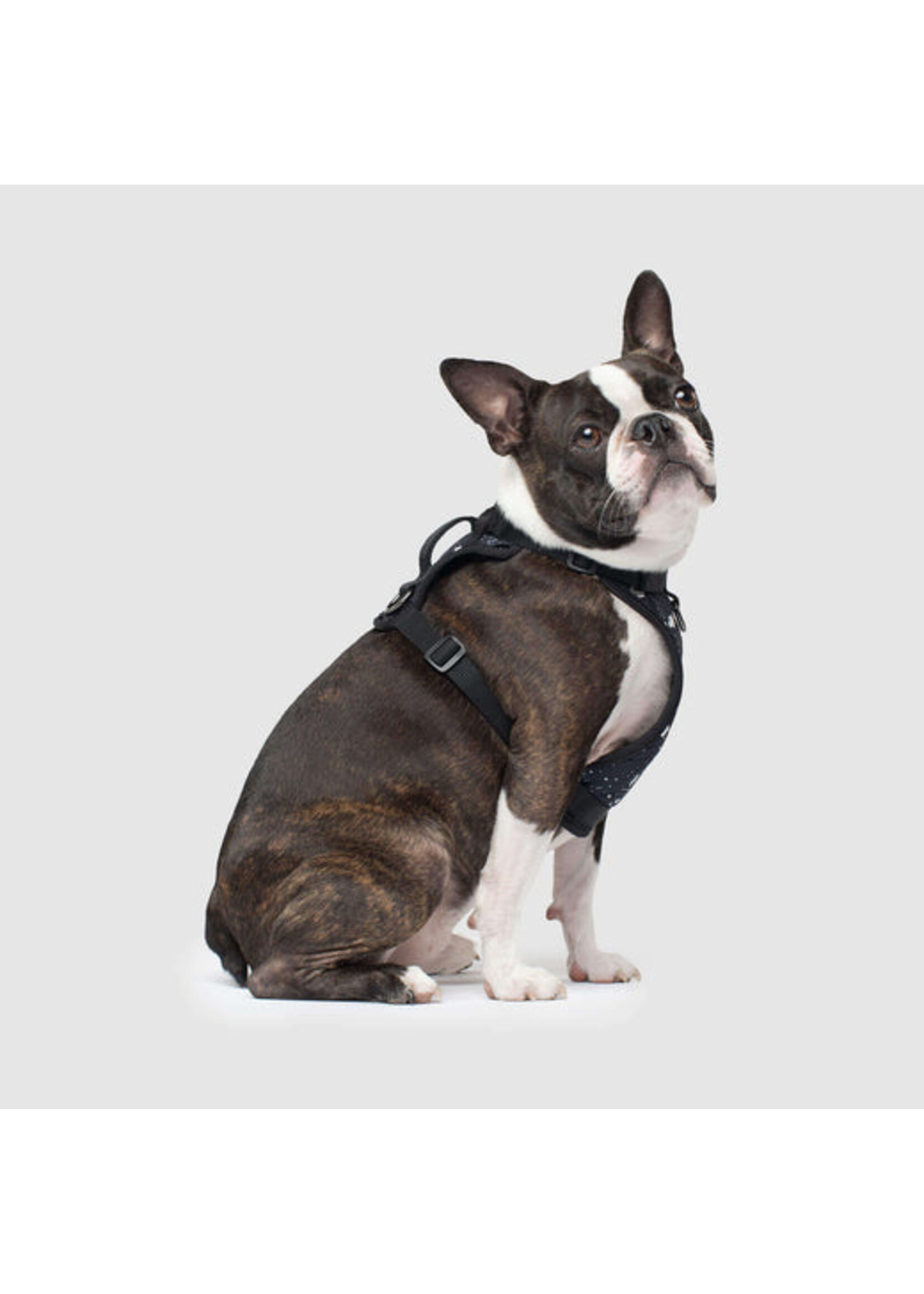 Canada Pooch Canada Pooch Everything Harness Water-Resistant Splatter