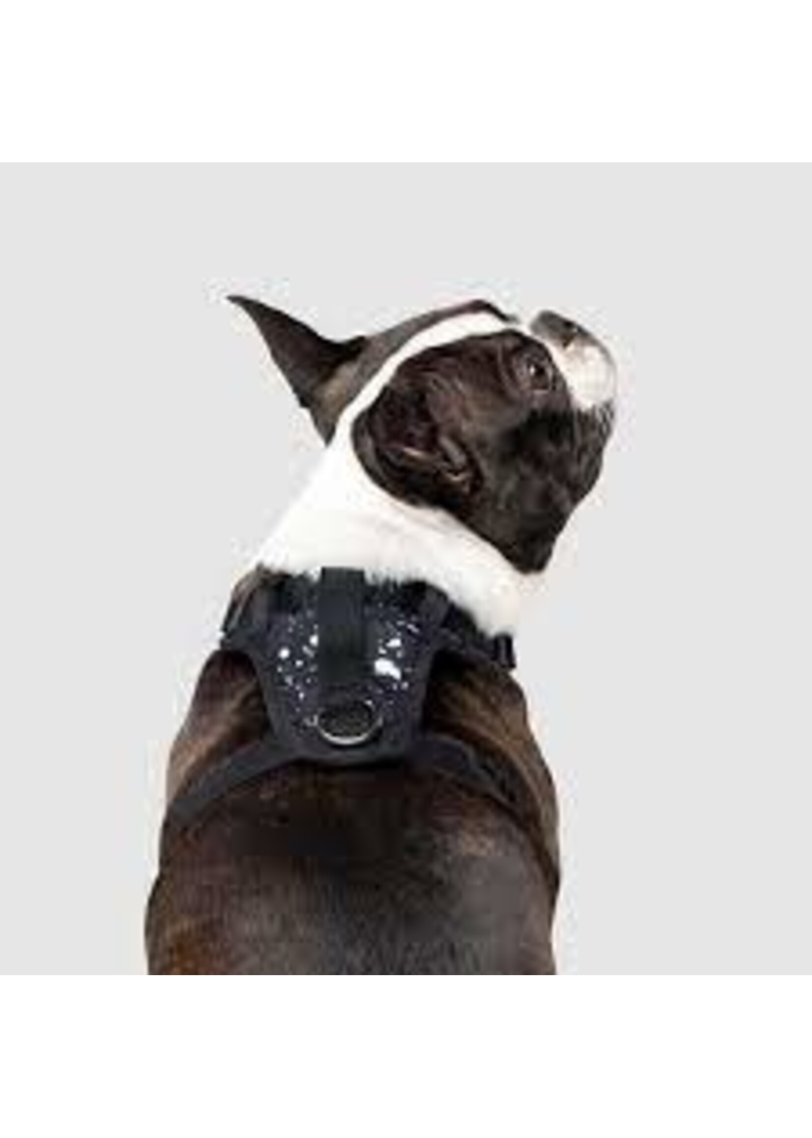 Canada Pooch Canada Pooch Everything Harness Water-Resistant Splatter