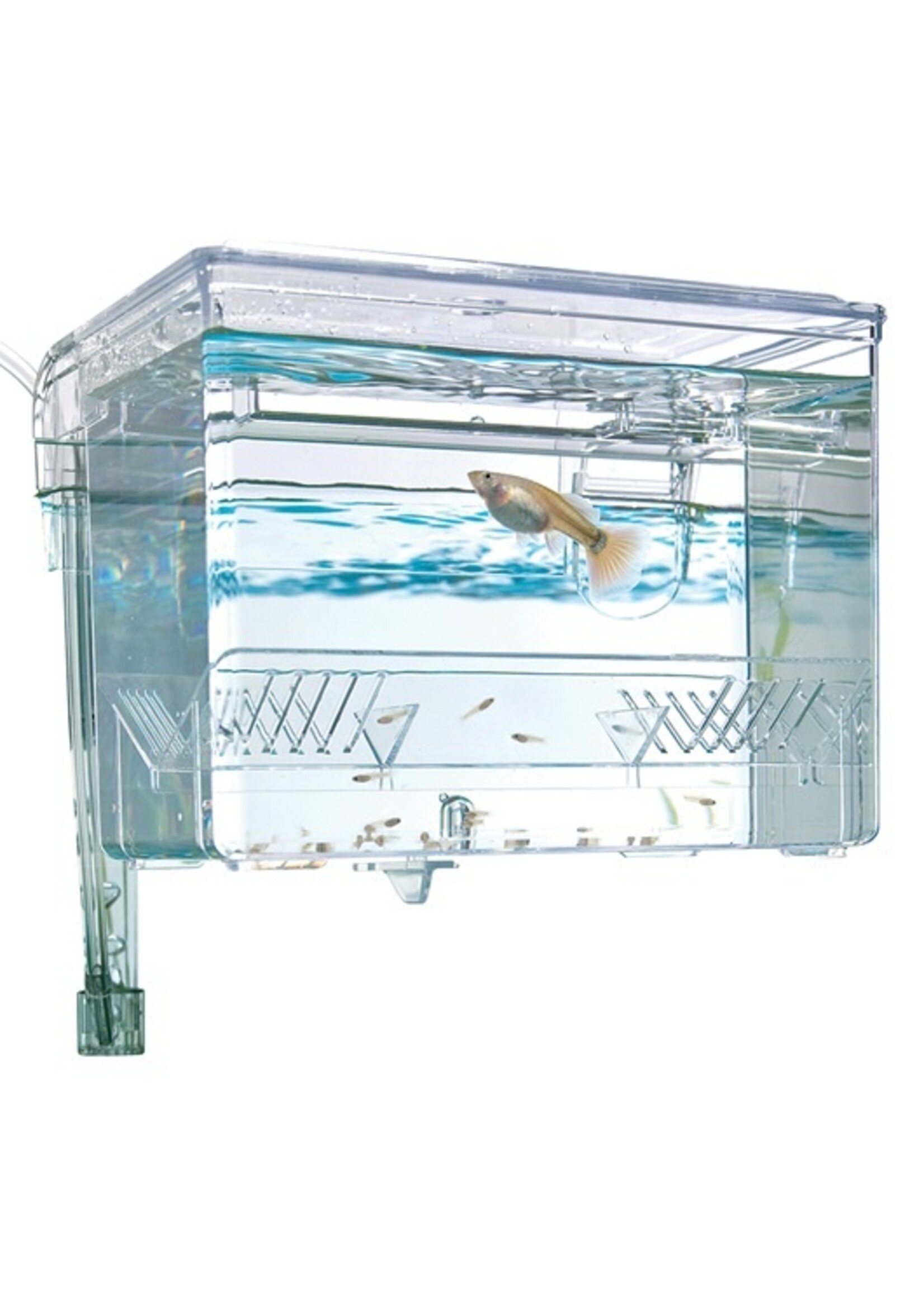 Fluval Fluval Hang-On Breeding Box 6.5"Lx5"Wx4.75"H