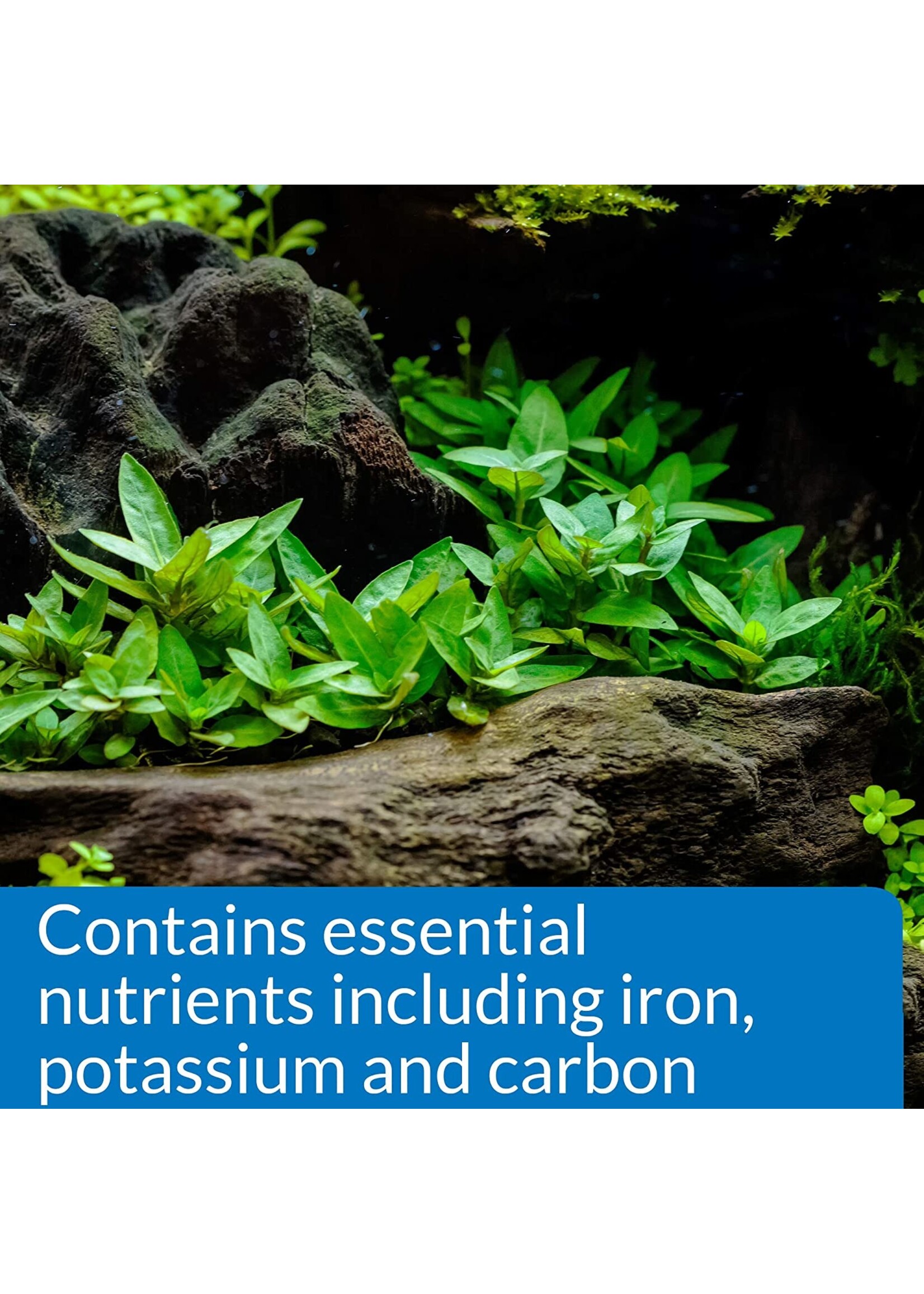 API API Root Tabs 10pack