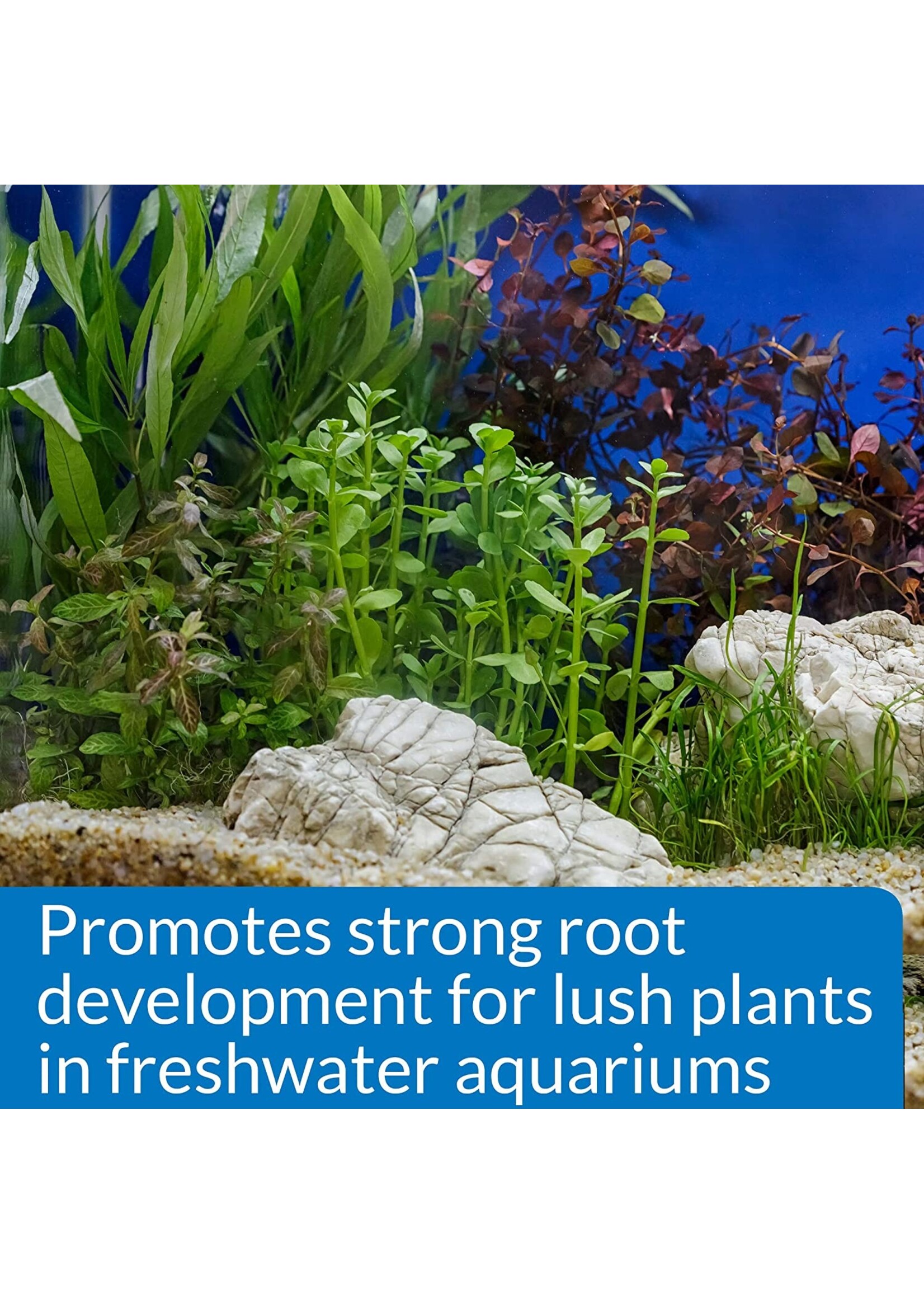 API API Root Tabs 10pack