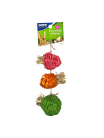 Ware Pet Products Ware Harvest Chews 3pc