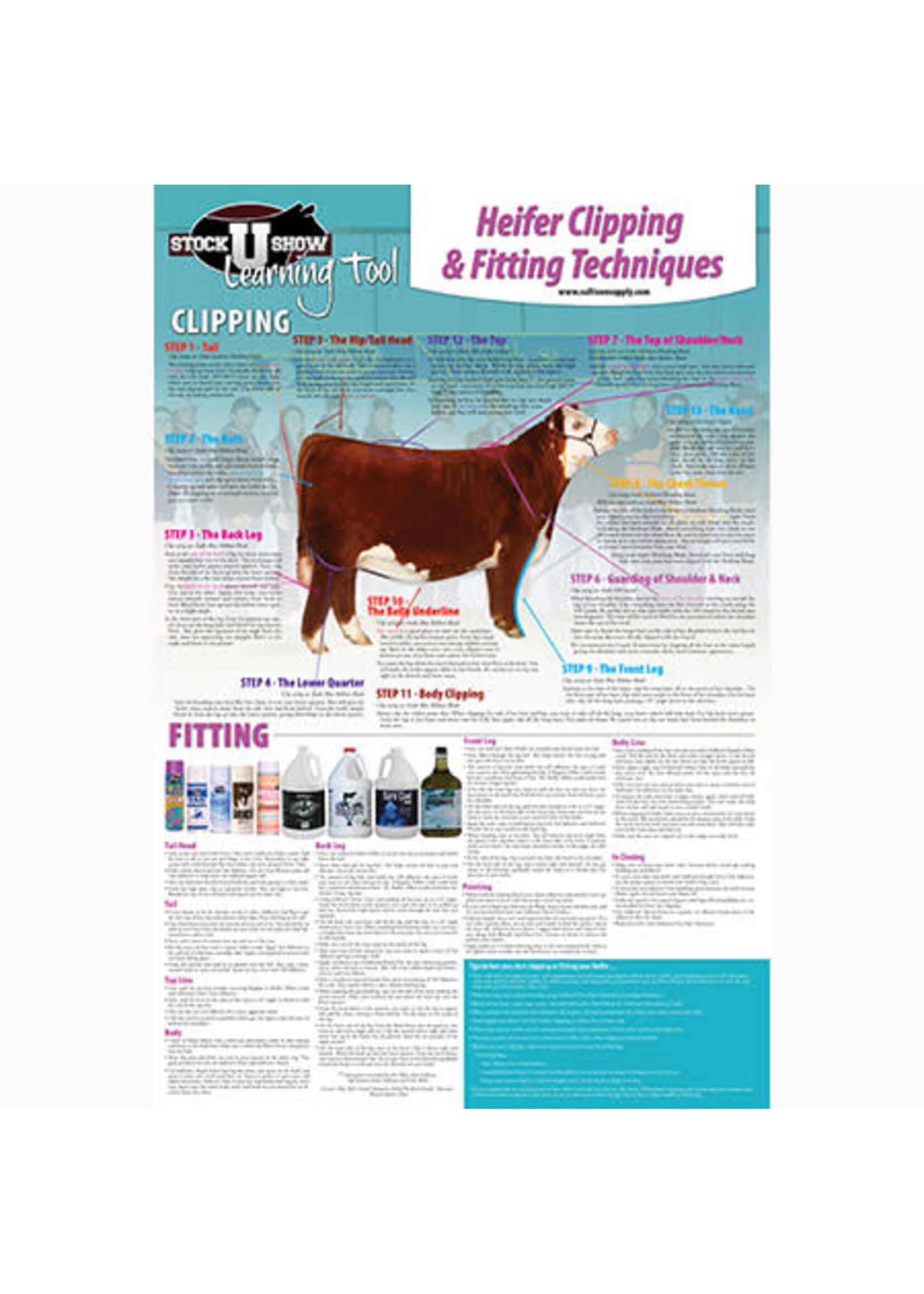 Sullivan Supply Sullivan Supply SSU Learning Tools Poster Heifer Clipping