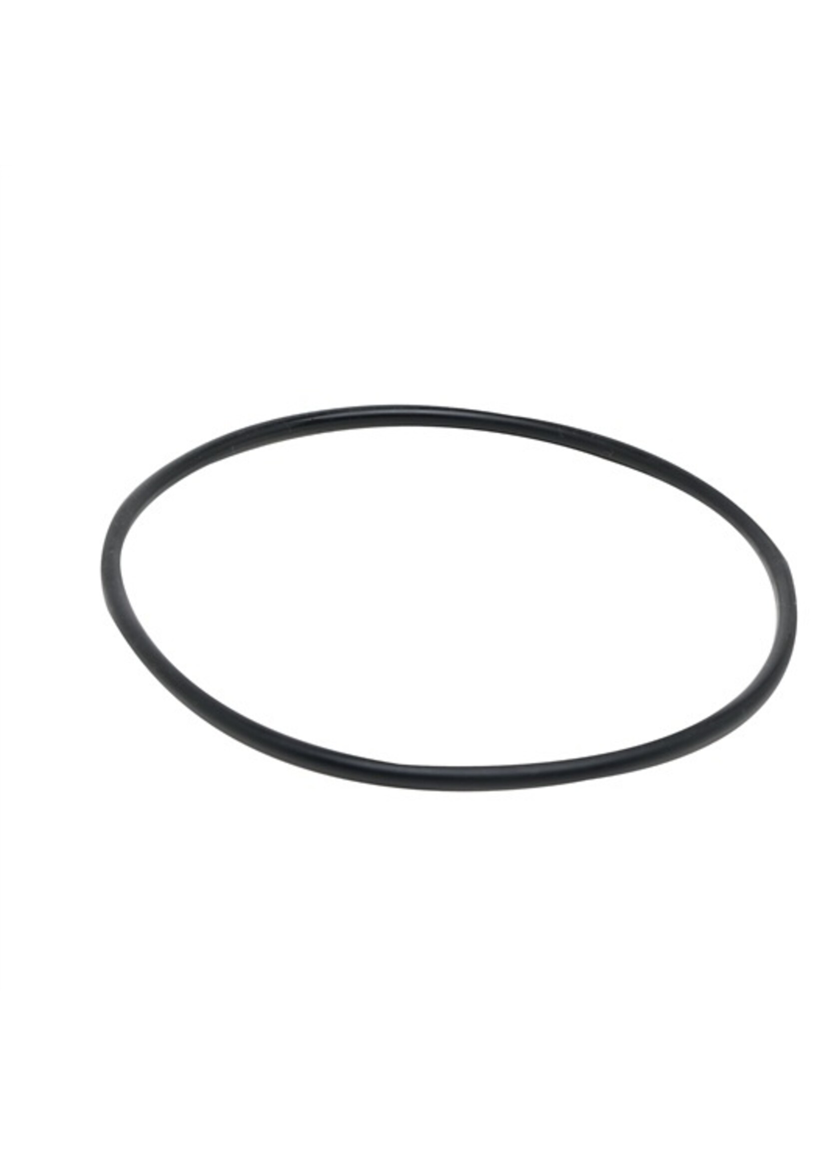 Fluval Fluval Motor Seal Ring (A20038)