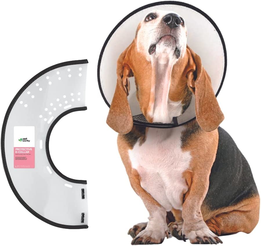 Vet Worthy Pet ECollar (Cone) The Lloydminster Pet Pad Inc.