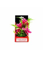 Aquatop Aquatop Boxed Virbrant Passion Rose Weighted