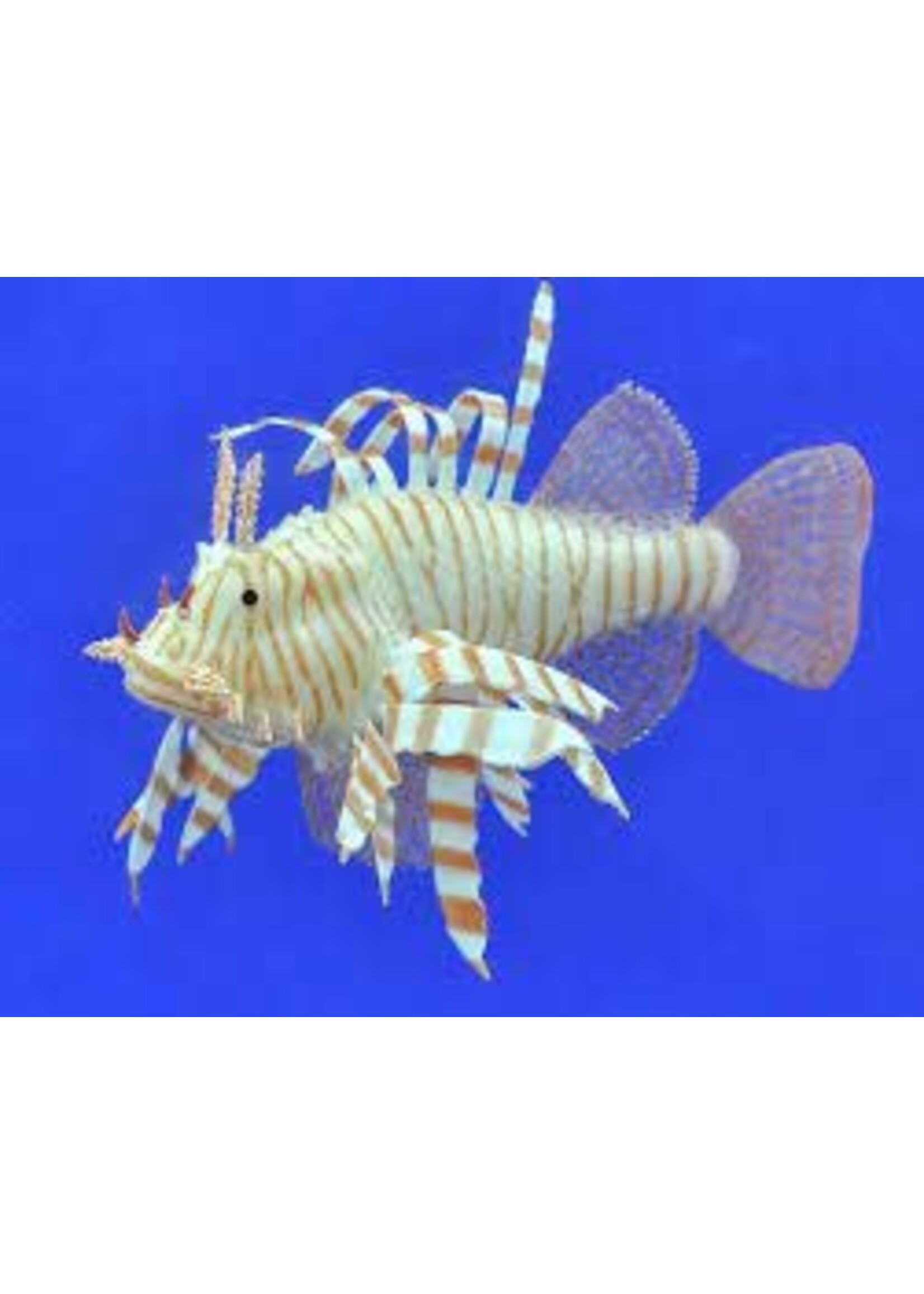 Eshopps Glowing Effect Sea Animals Lionfish