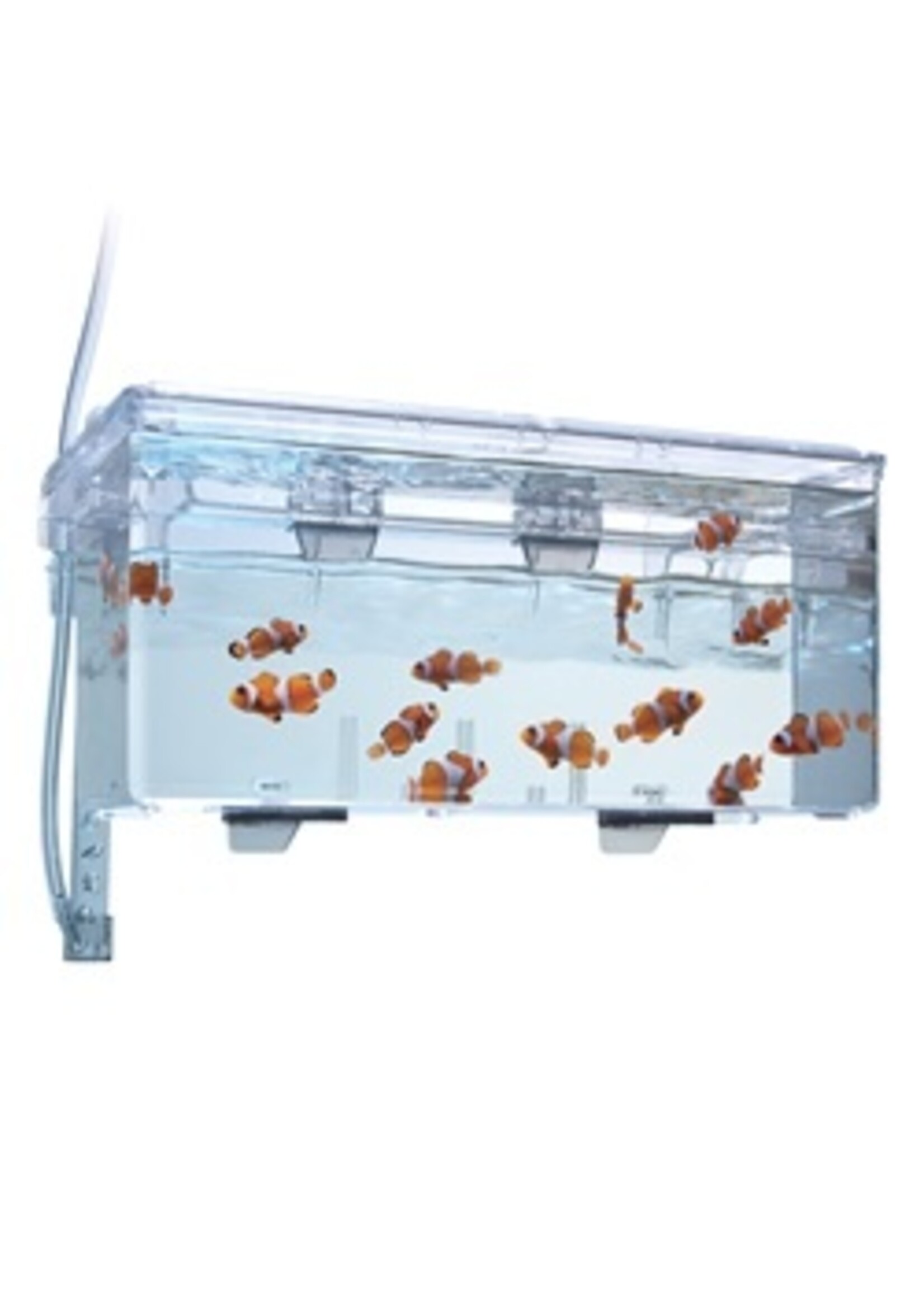 Fluval Fluval Multi-Chamber Holding & Breeding Box 10.25"Lx5.5"Wx4.75"H