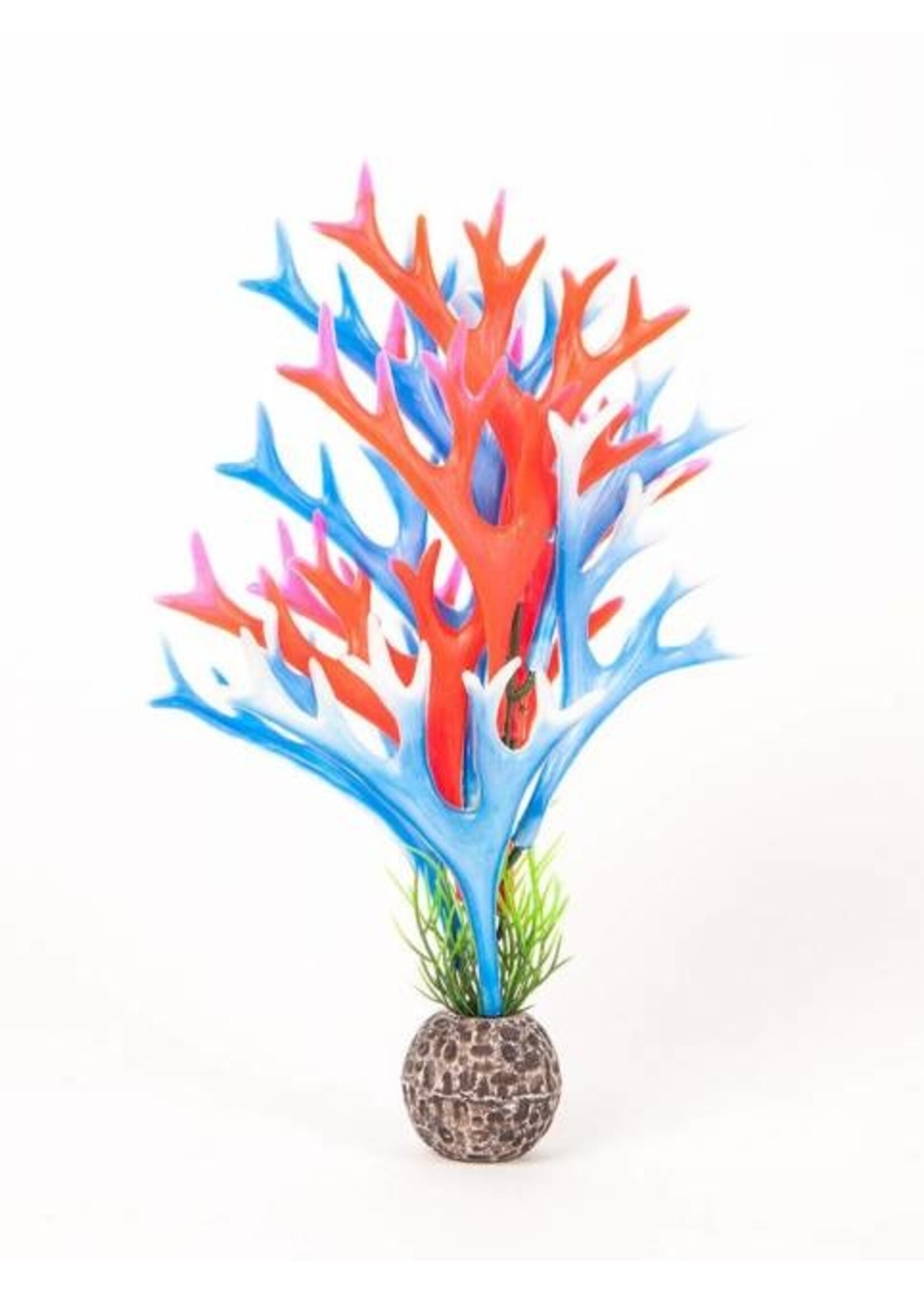 Aquatop Aquatop Staghorn Plant 8" Multi Colour Blue/Red