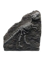 Marina Marina Fossil T-Rex 8.5 x 9 x 1.8"