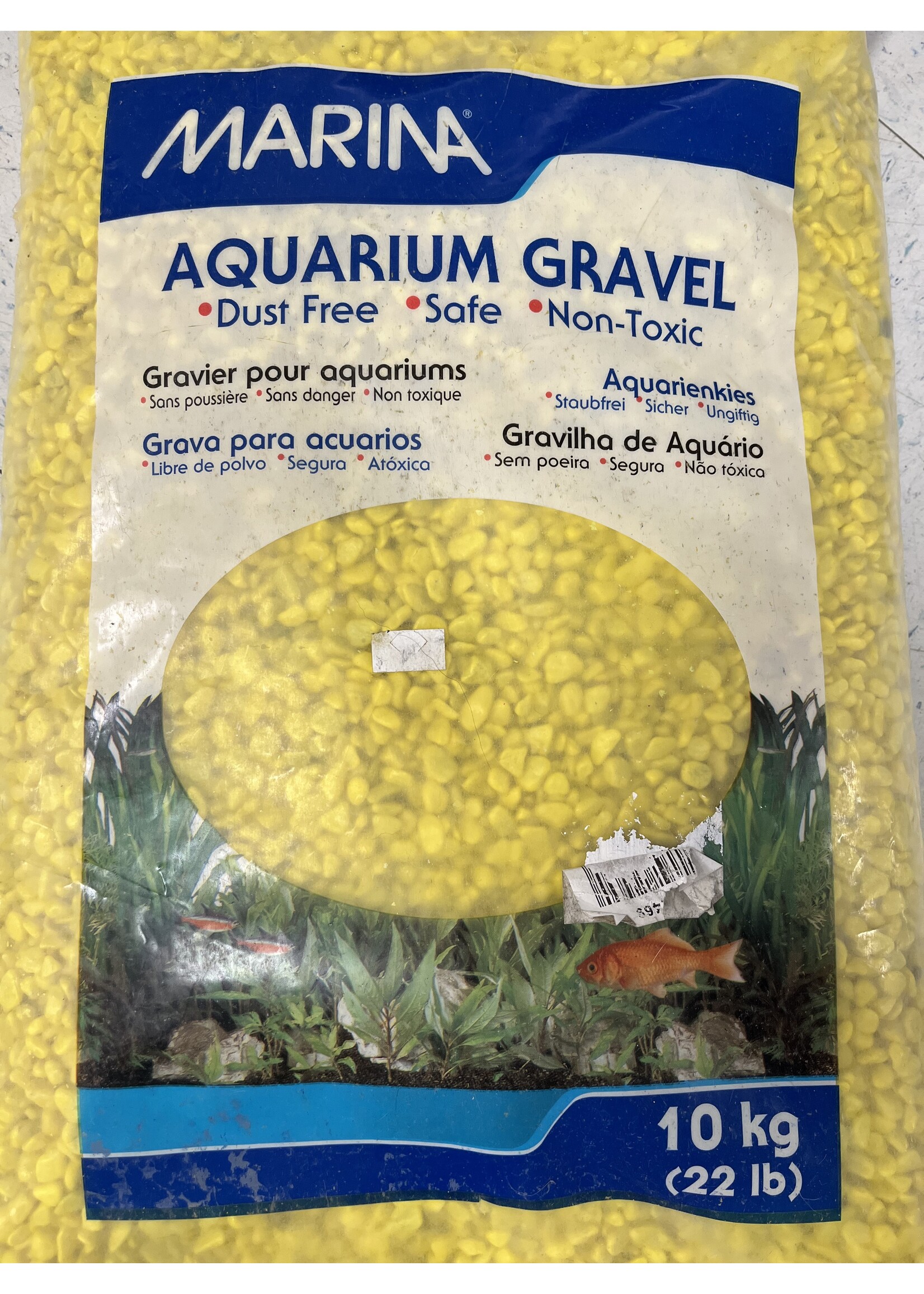 Worldwide Imports Pebbles Daffodil 5lbs.