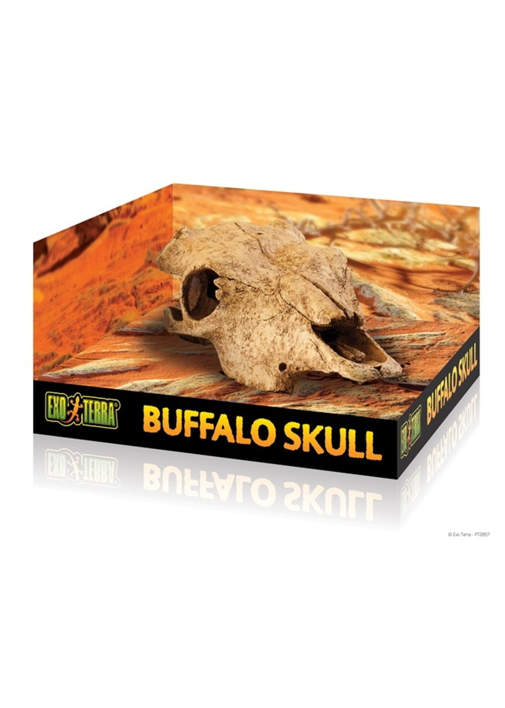 Exo Terra Exo Terra Buffalo Skull