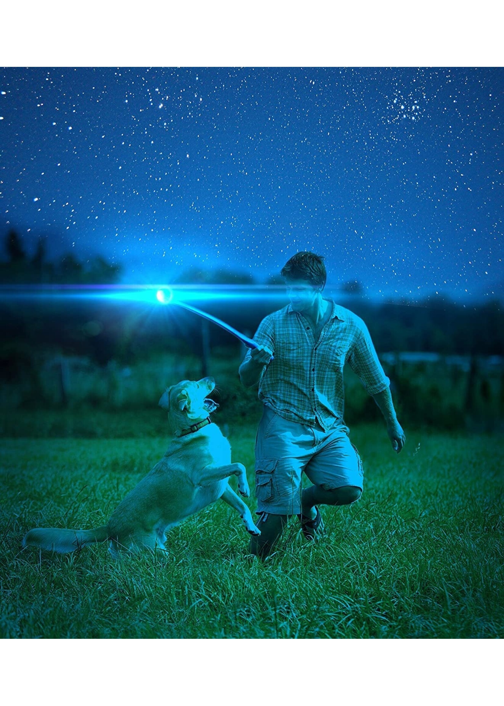 Canine Hardware Chuck It! Max Glow Ball