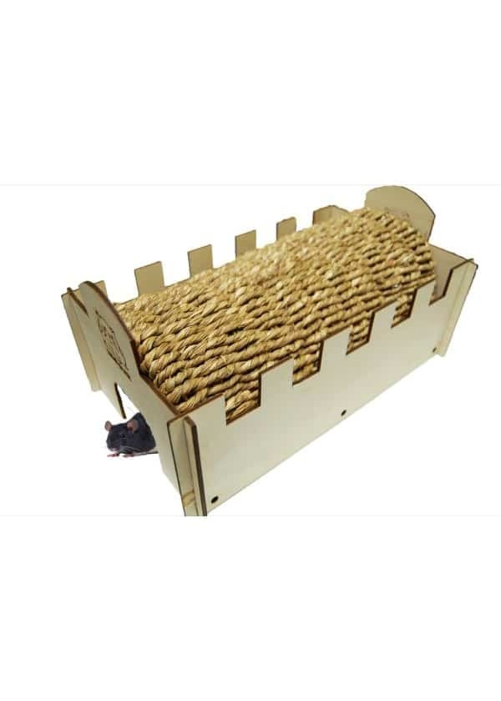 Zoo-Max Zoo-Max Critter Tunnel Rongeurs 5.5 x 7 x 1"