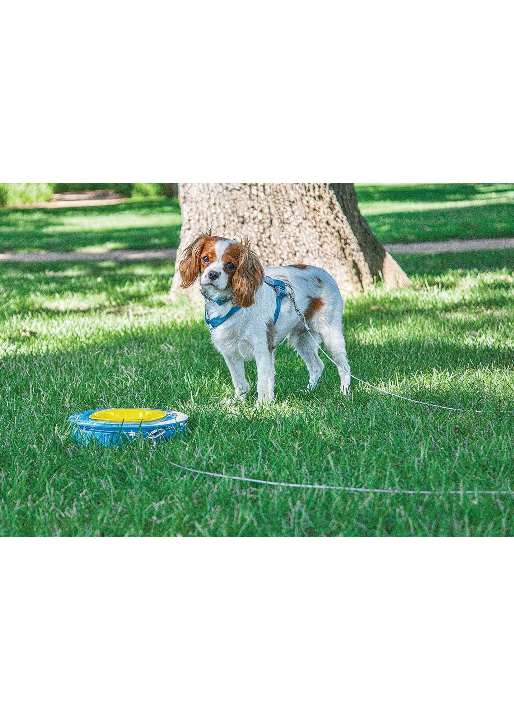 Aspen Pet Aspen Pet Stay a Round Tie Out w/Bowl