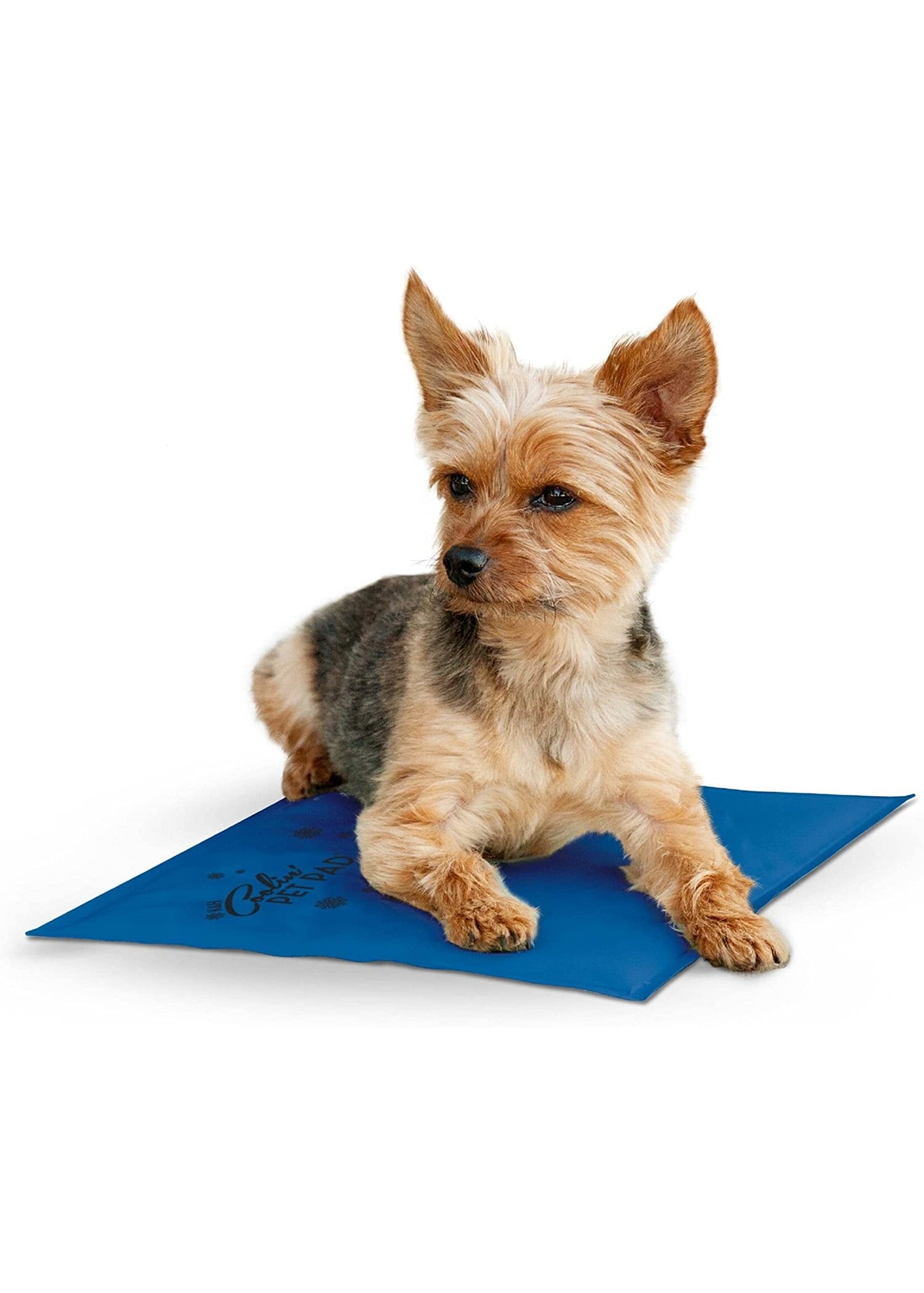 K&H Pet Products K&H Coolin Pad Blue