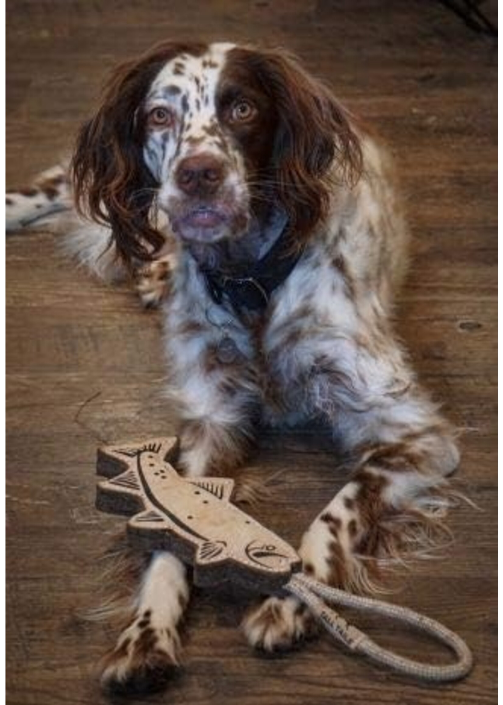 Tall Tails Tall Tails Natural Leather & Rope Trout 15"