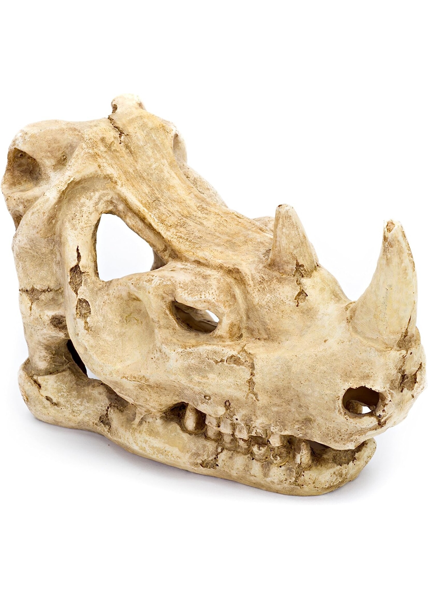 Penn Plax Penn Plax Rhino Skull 3.5 x 6 x5in