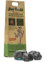Dog Rocks Lawn Yellow Stain Protection