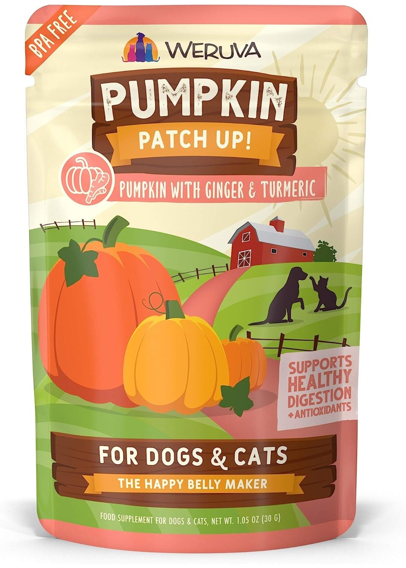 Weruva Weruva Pumpkin Patch Up! Pumpkin w/ Ginger & Turmeric 1.05 oz single