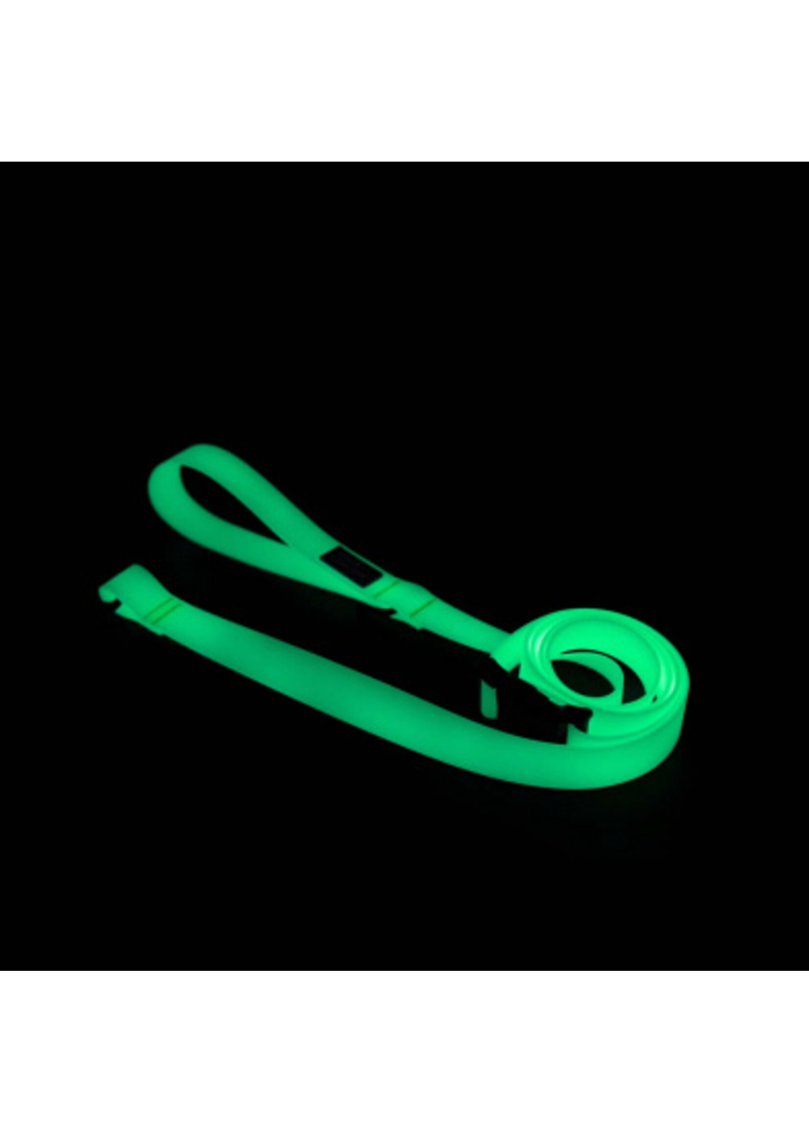 Woof Concept Woof Concept Leash AQUA Lumen Glow in the Dark