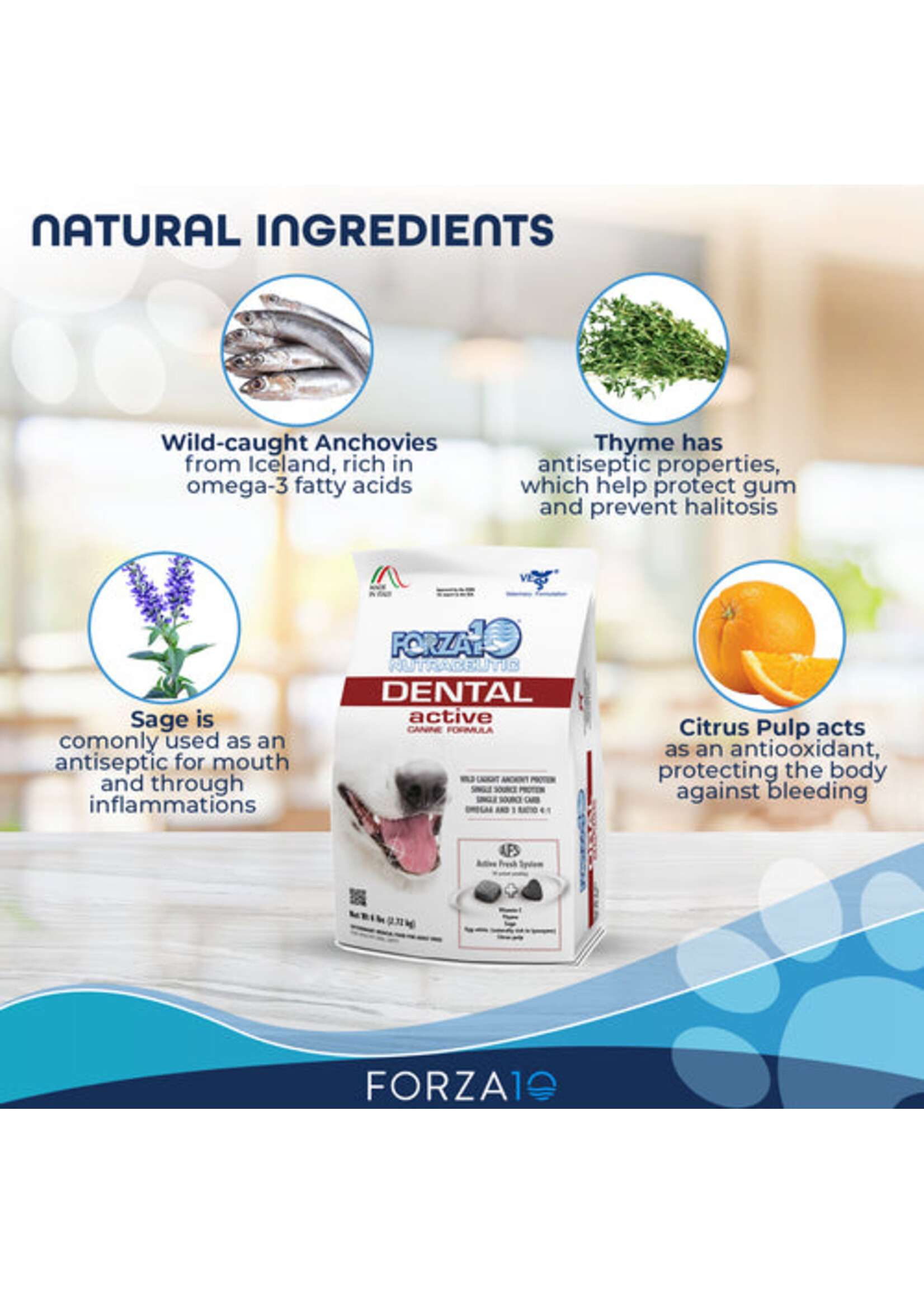 Forza 10 Active Dog Oral Health The Lloydminster Pet Pad Inc.