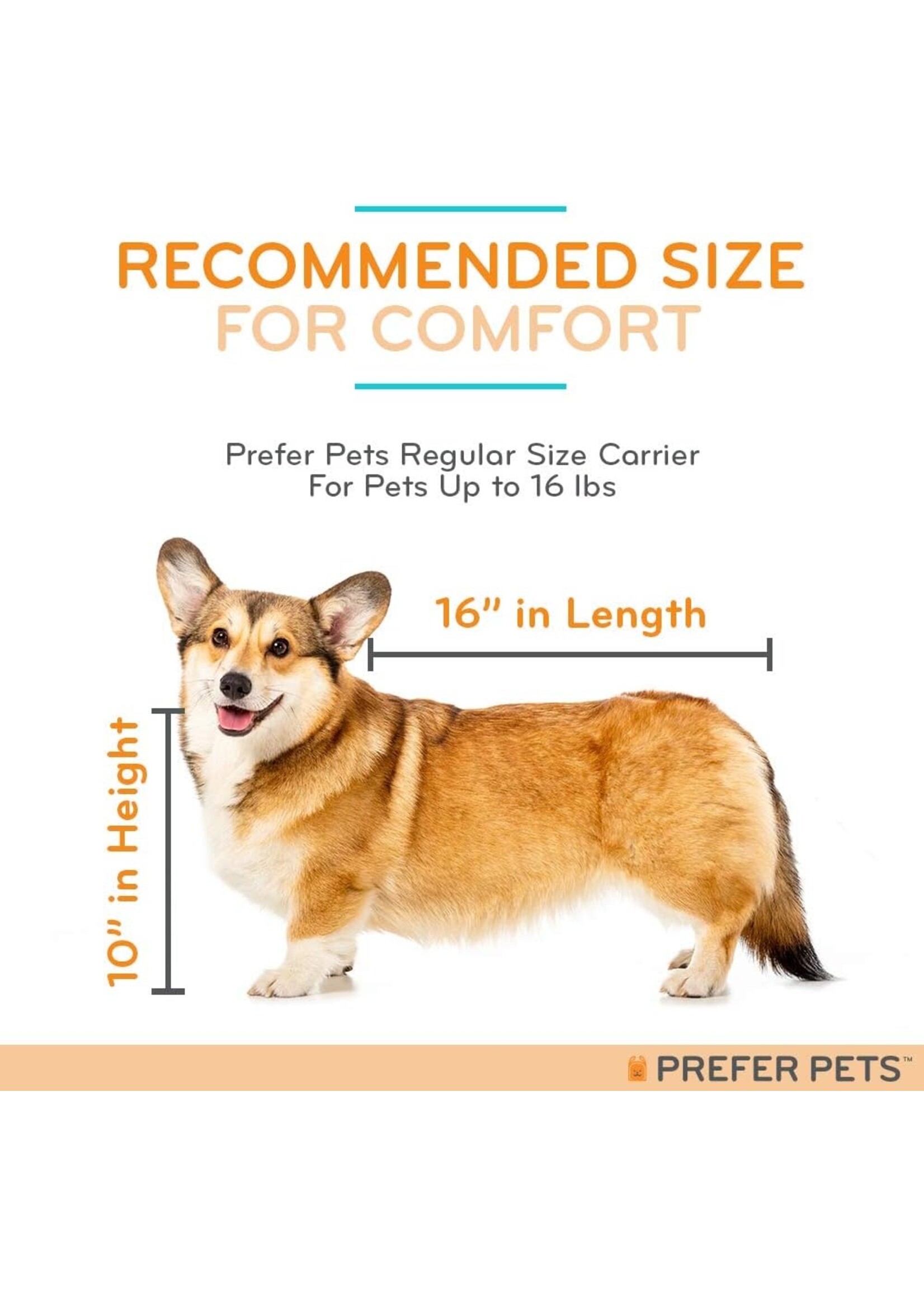 Prefer Pets Jet Carrier Pet Carrier Fuchsia 17" x 10" x 12"