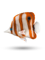 Aquatop Aquatop Silicone Copperband Butterfly Orange/White Fish Decor 3.75"