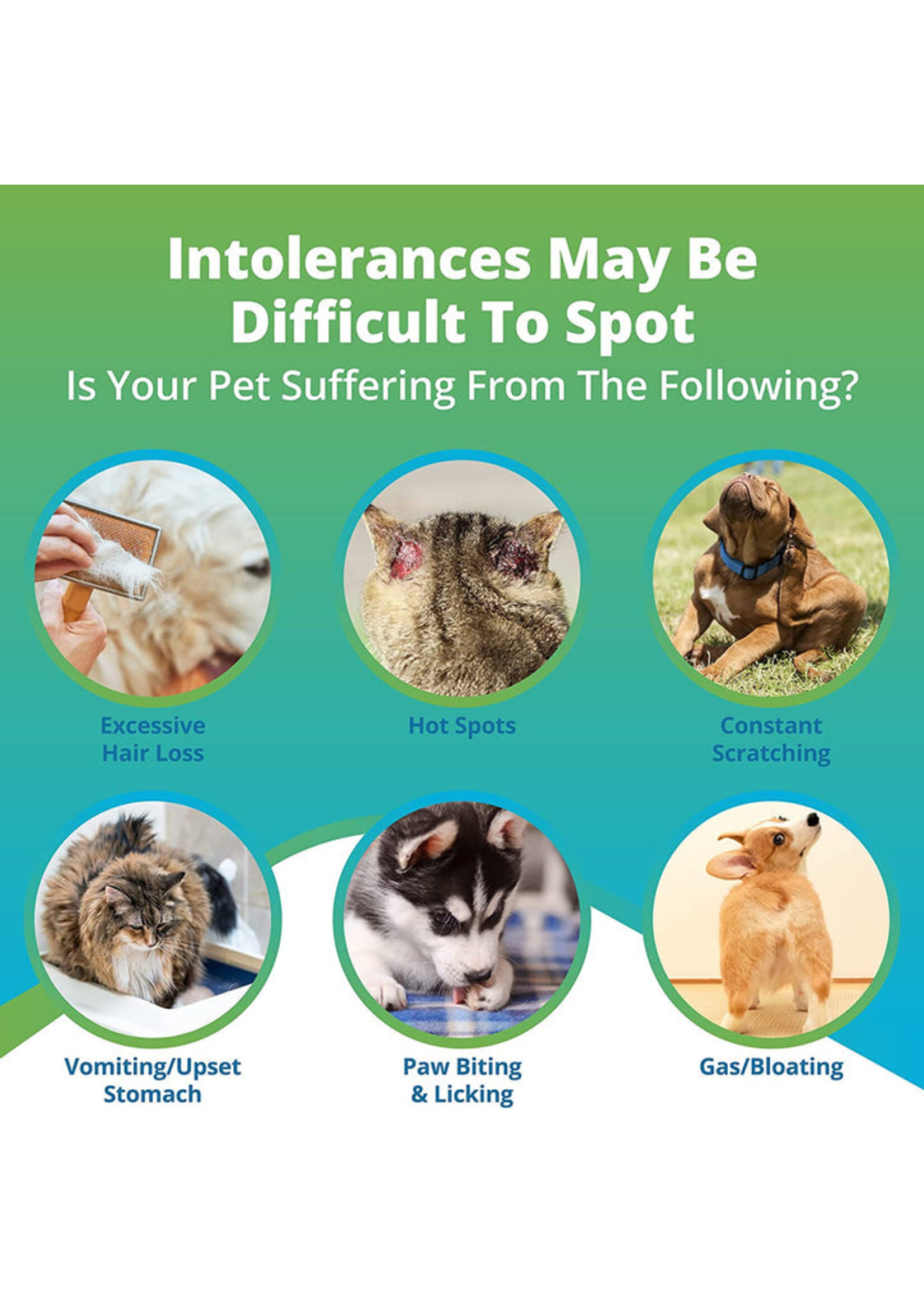 5Strands 5Strands Pet Raw Food Intolerance Test