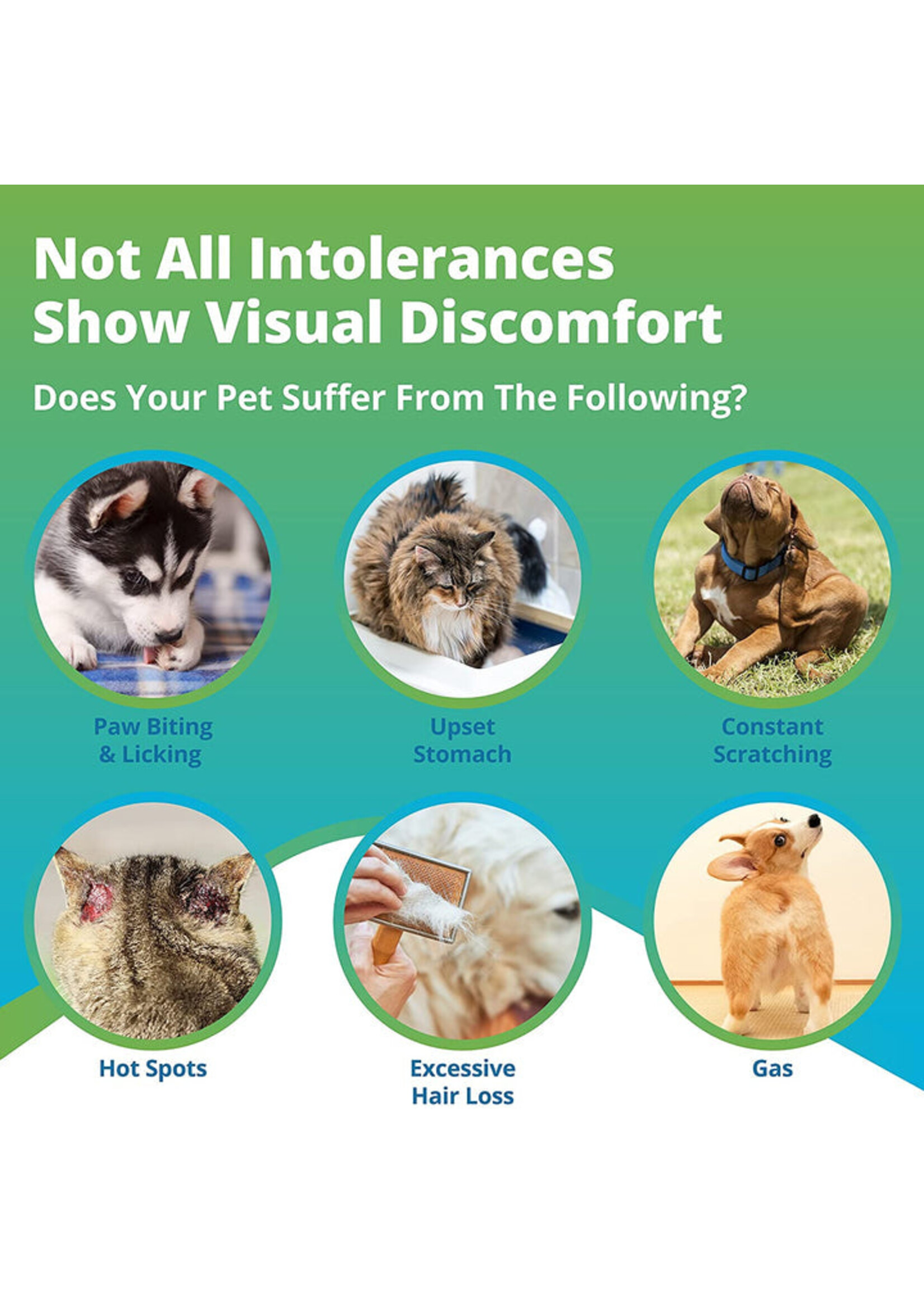 5Strands 5Strands Pet Comprehensive Intolerances & Imbalances Test