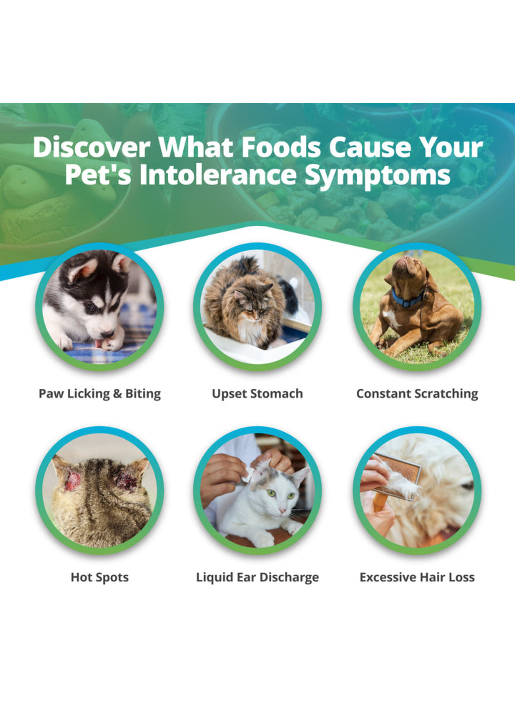 5Strands 5Strands Pet Food Intolerance Test