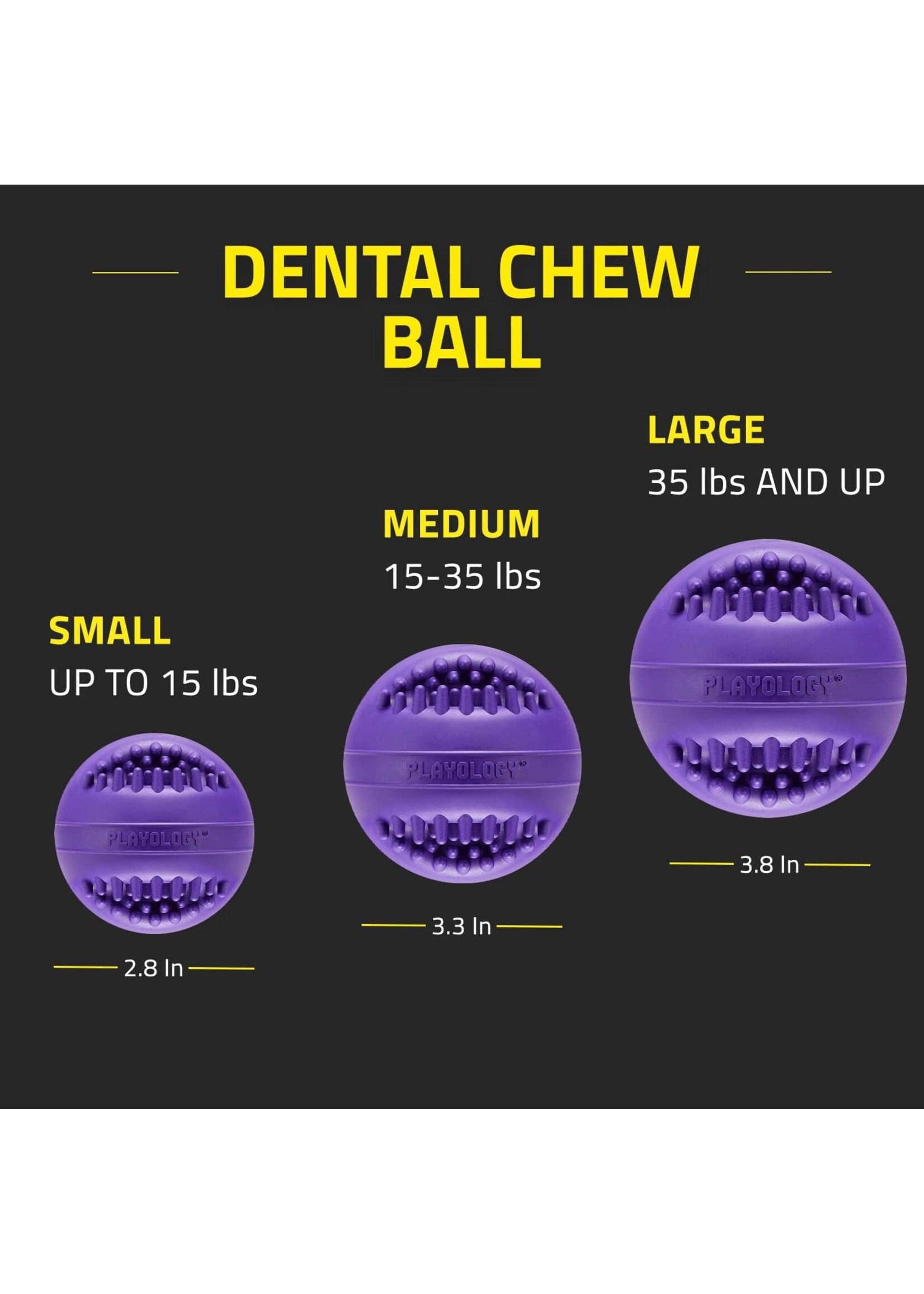 Playology Playology Silver Dental Chew Ball
