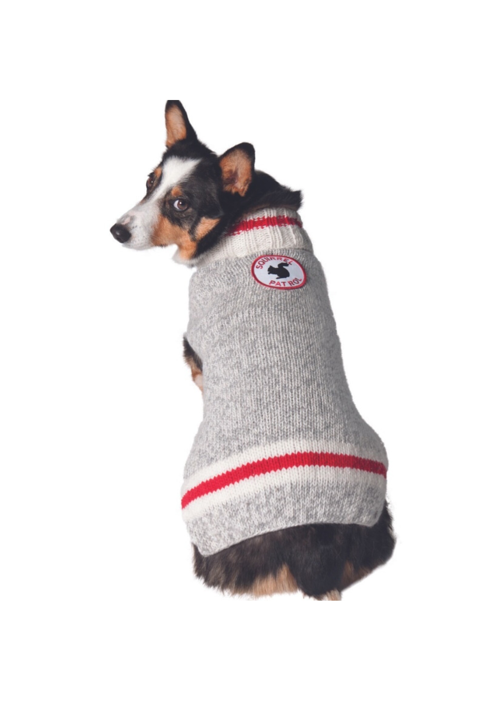 Chilly Dog Chilly Dog Squirrel Patrol Sweater Grey