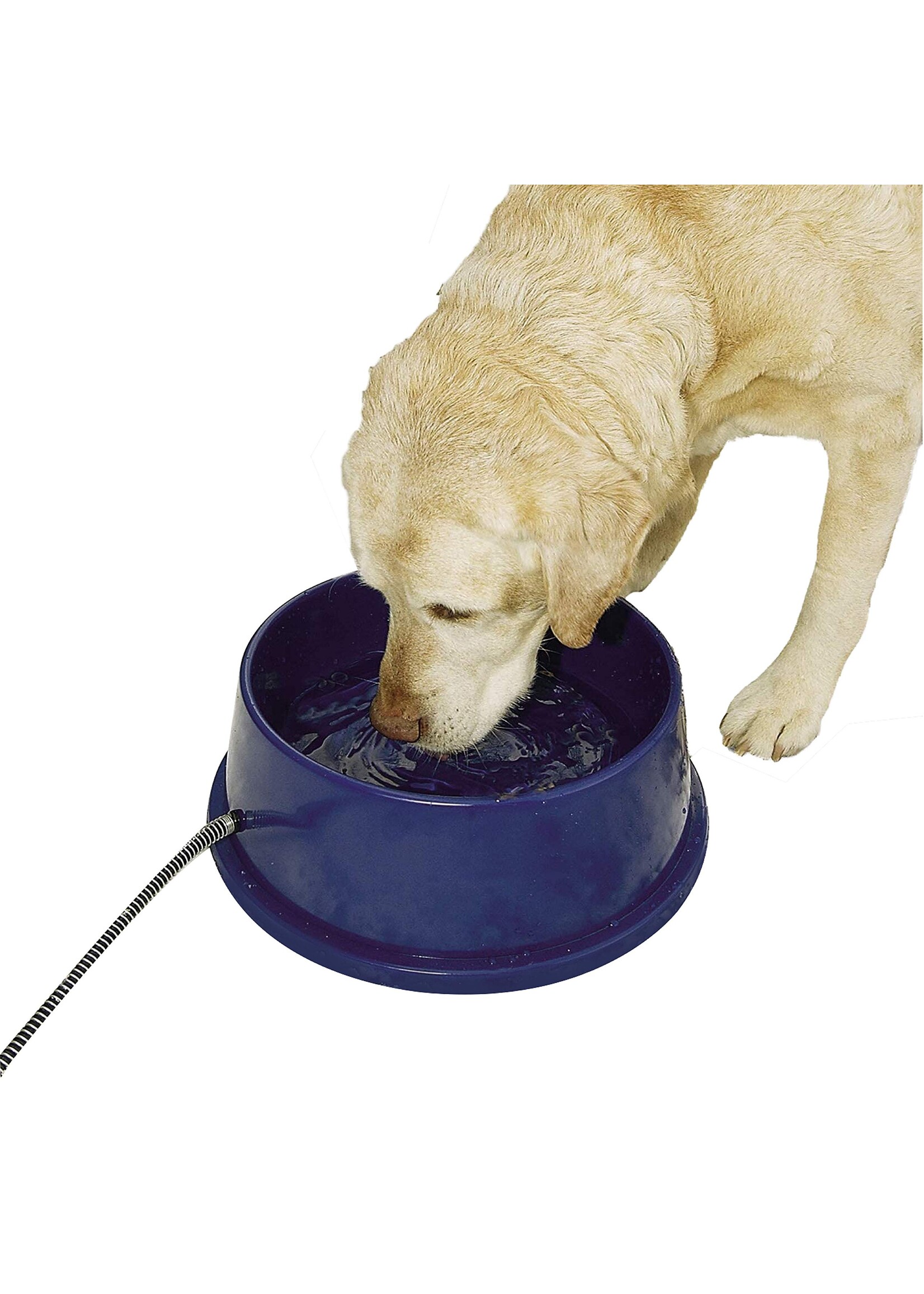 K&H Pet Products K&H Heated Thermal Bowl Blue 96oz 25watt