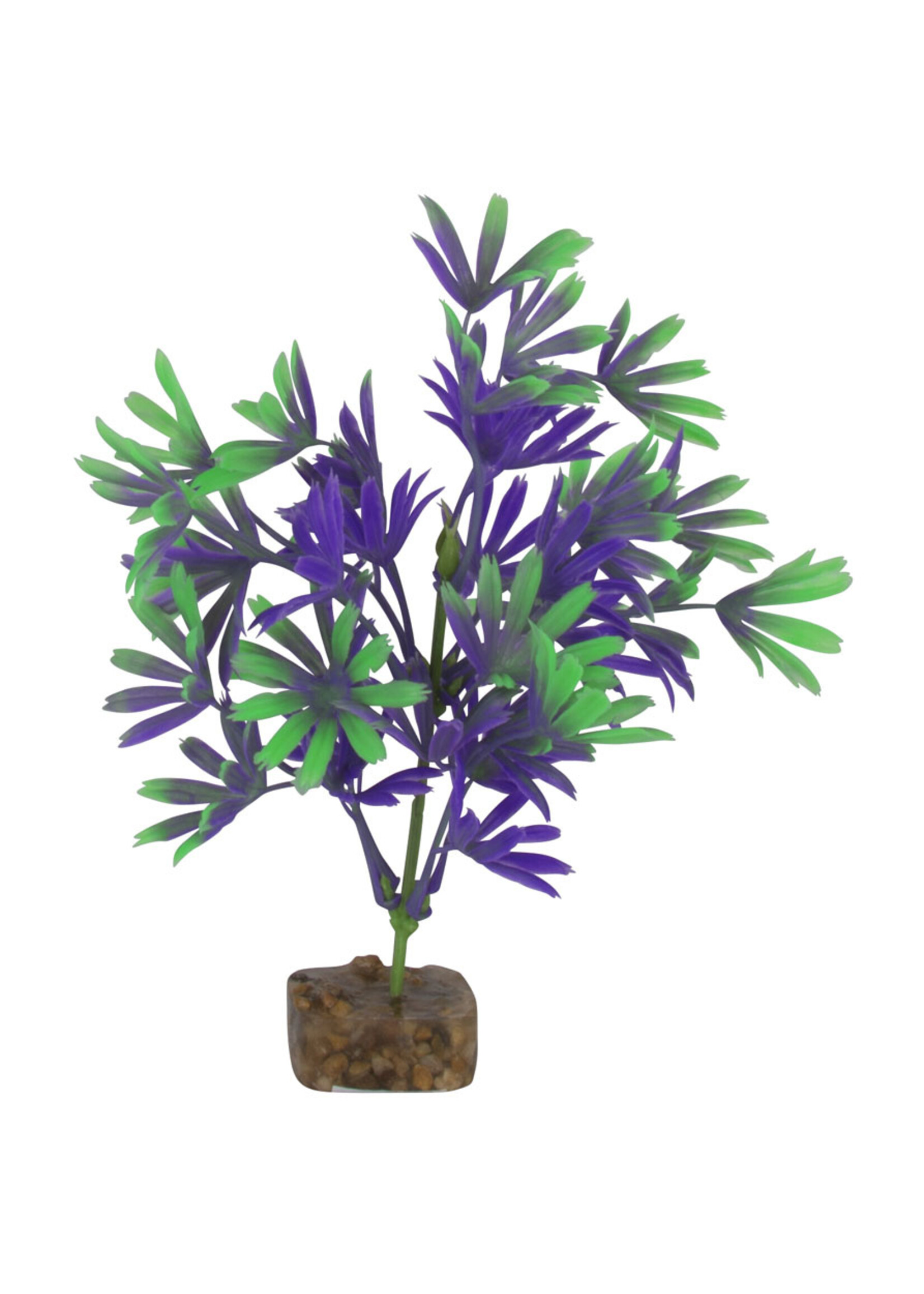 Tetra GloFish Plant XLarge Purple / Green