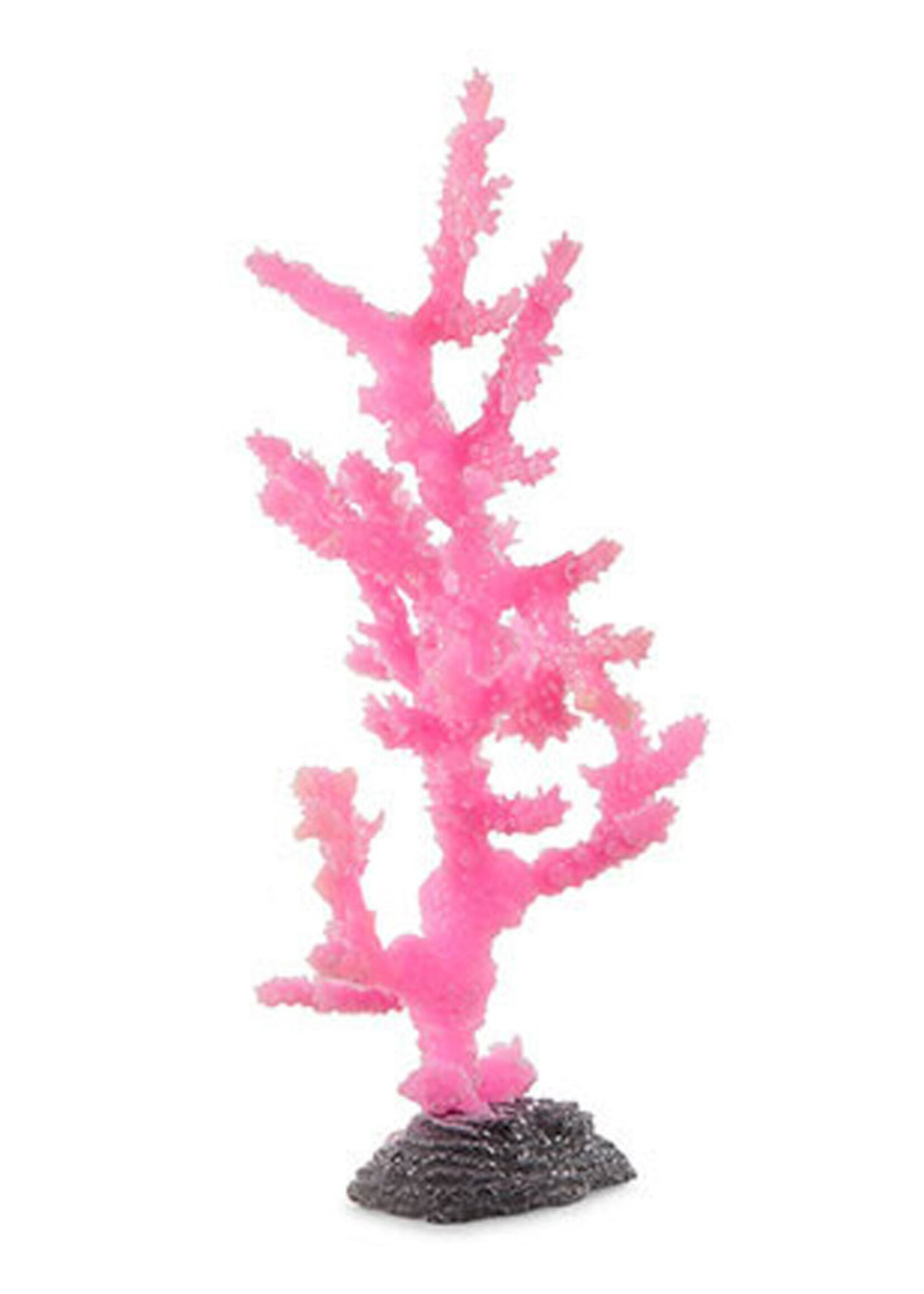 Sporn Sporn Pink Sinularia Coral Large