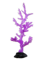 Sporn Sporn Purple Sinularia Coral Large