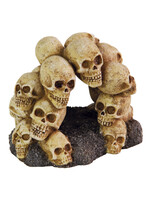 Aqua-Fit Aqua-Fit Polyresin Skull Arch 5.25 x 4 x 4"