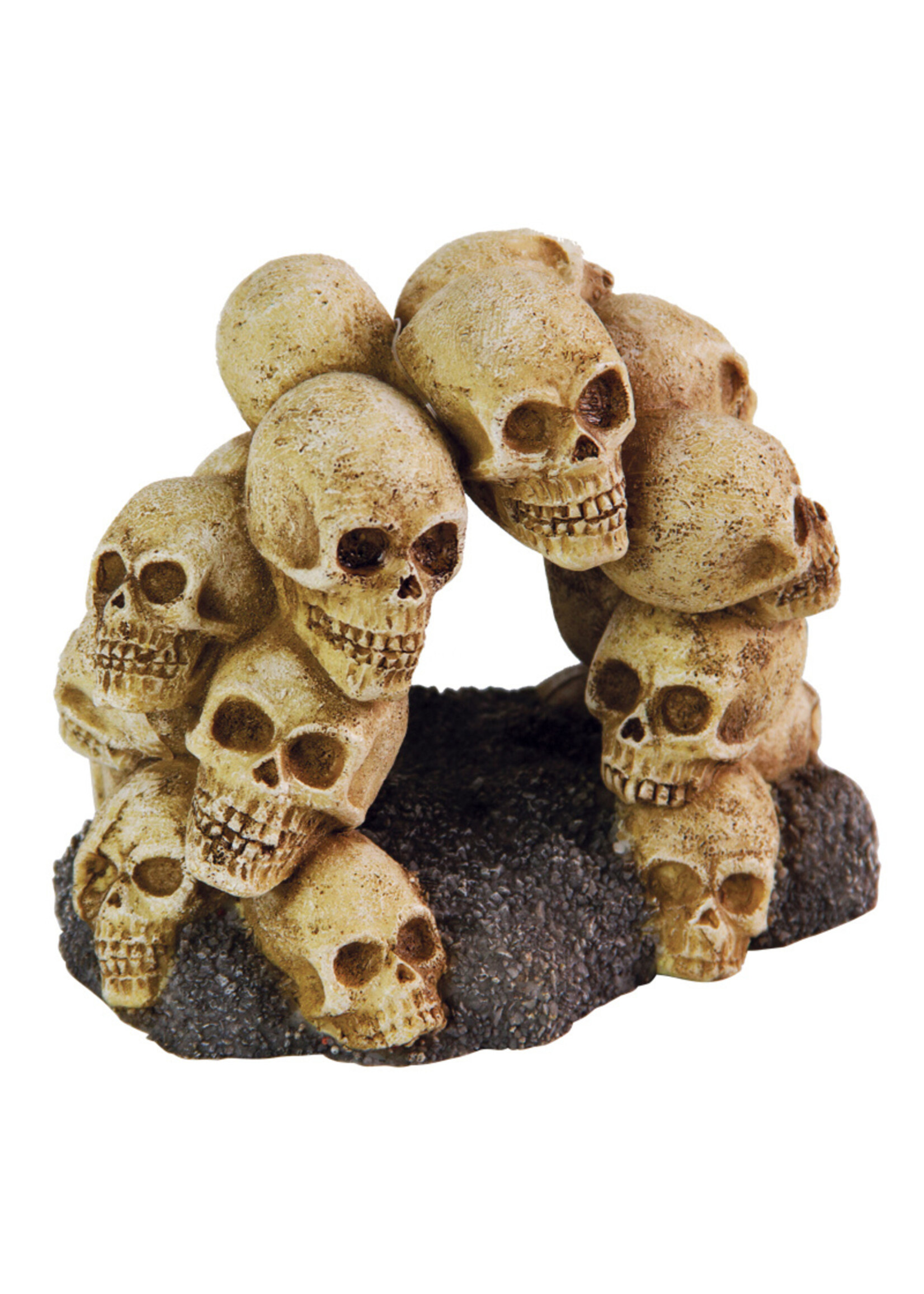 Aqua-Fit Aqua-Fit Polyresin Skull Arch 5.25 x 4 x 4"