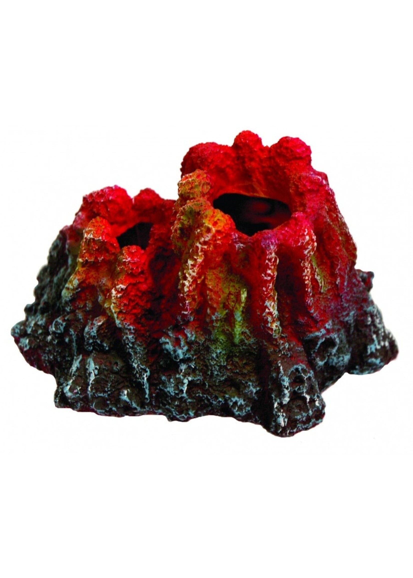 Aqua-Fit Aqua-Fit Double Volcano 6.7 x 5 x 4"