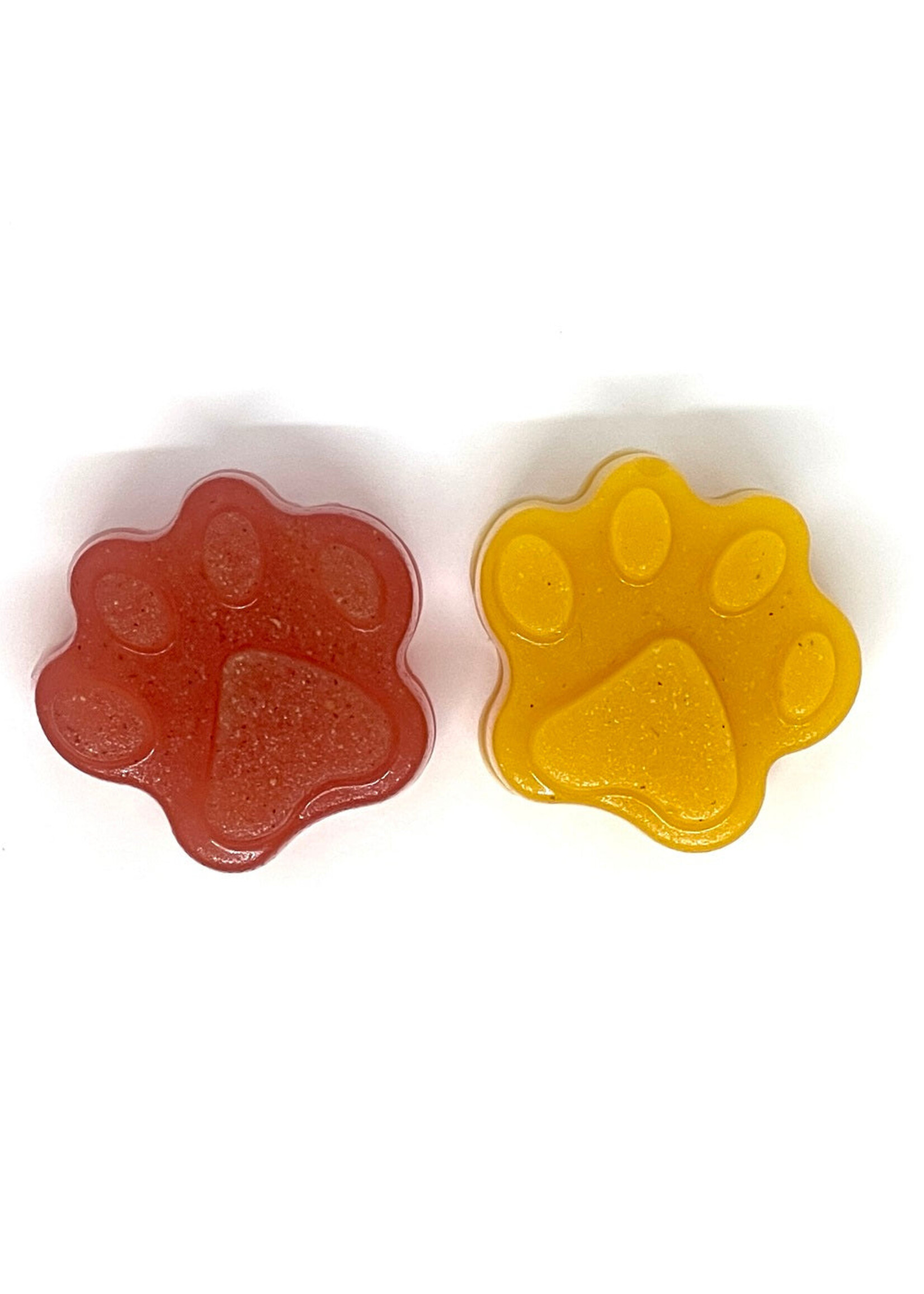 Sodapup Sodapup Dogtastic Jelly Shots Silicone Mold Paw Shape
