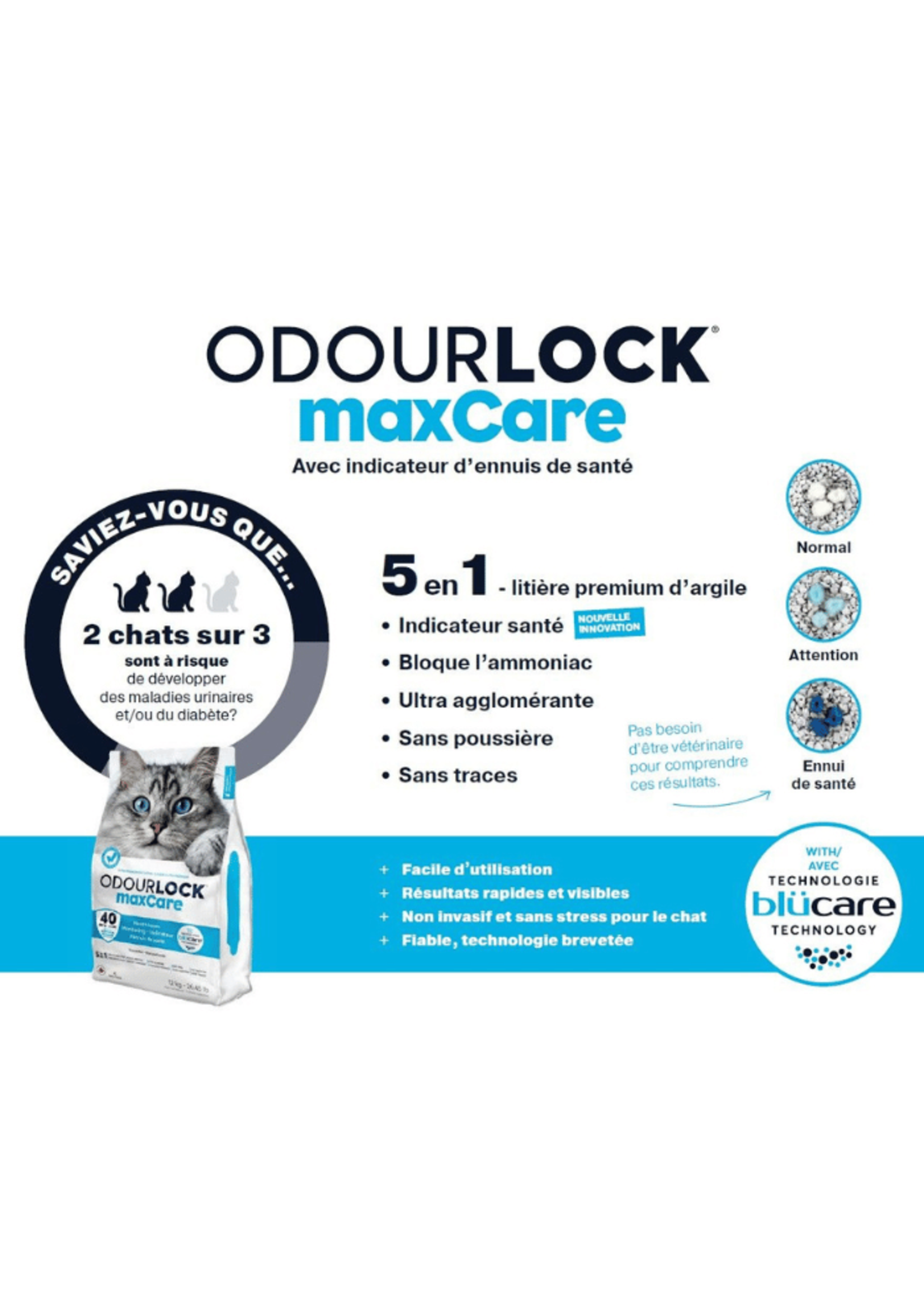 Intersand Odour Lock Maxcare Unscented Litter 12kg
