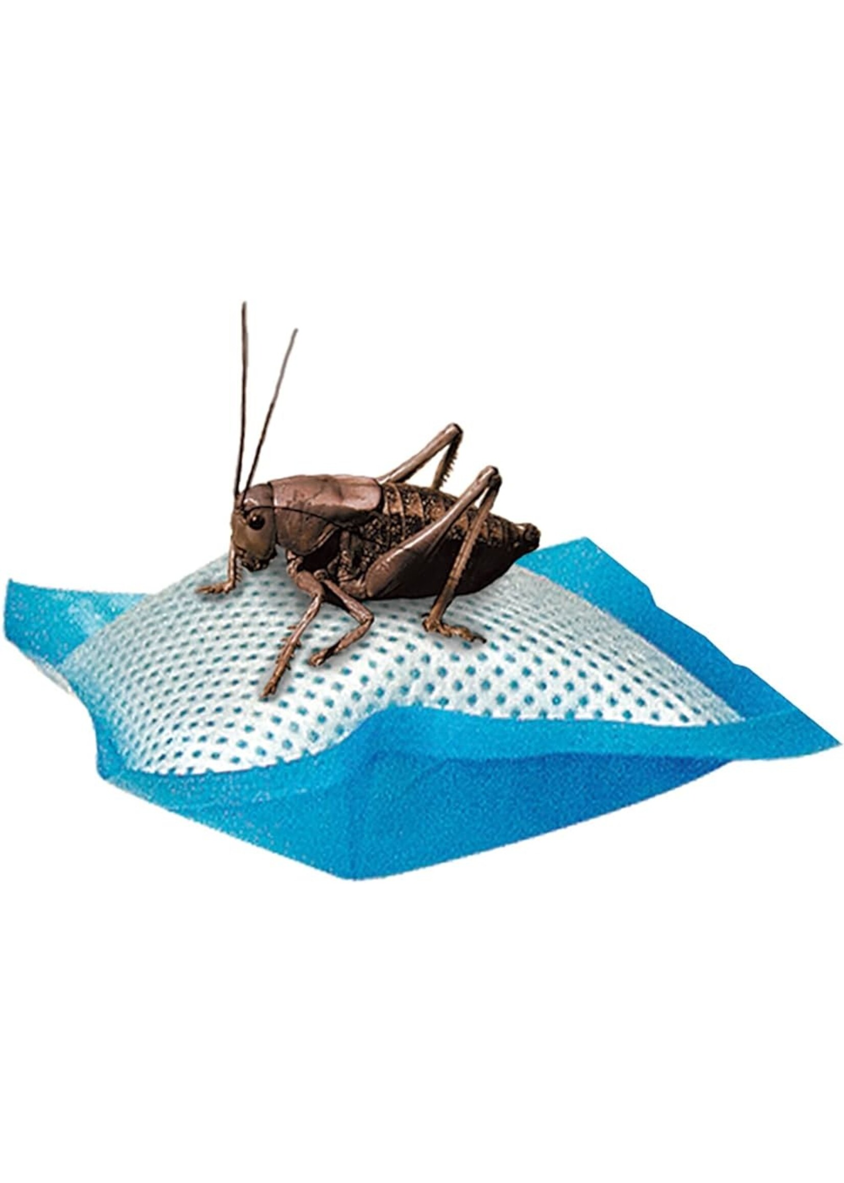 Zilla Zilla Water Pillow Cricket 6pack