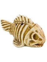 Aqua-Fit Aqua-Fit Polyresin Fish Skeleton 3 x 1.5 x 2"