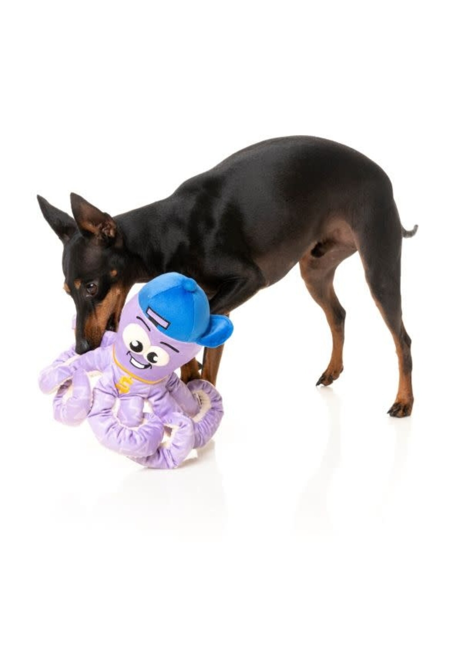 FuzzYard FuzzYard Octo-Posse Dog Toy
