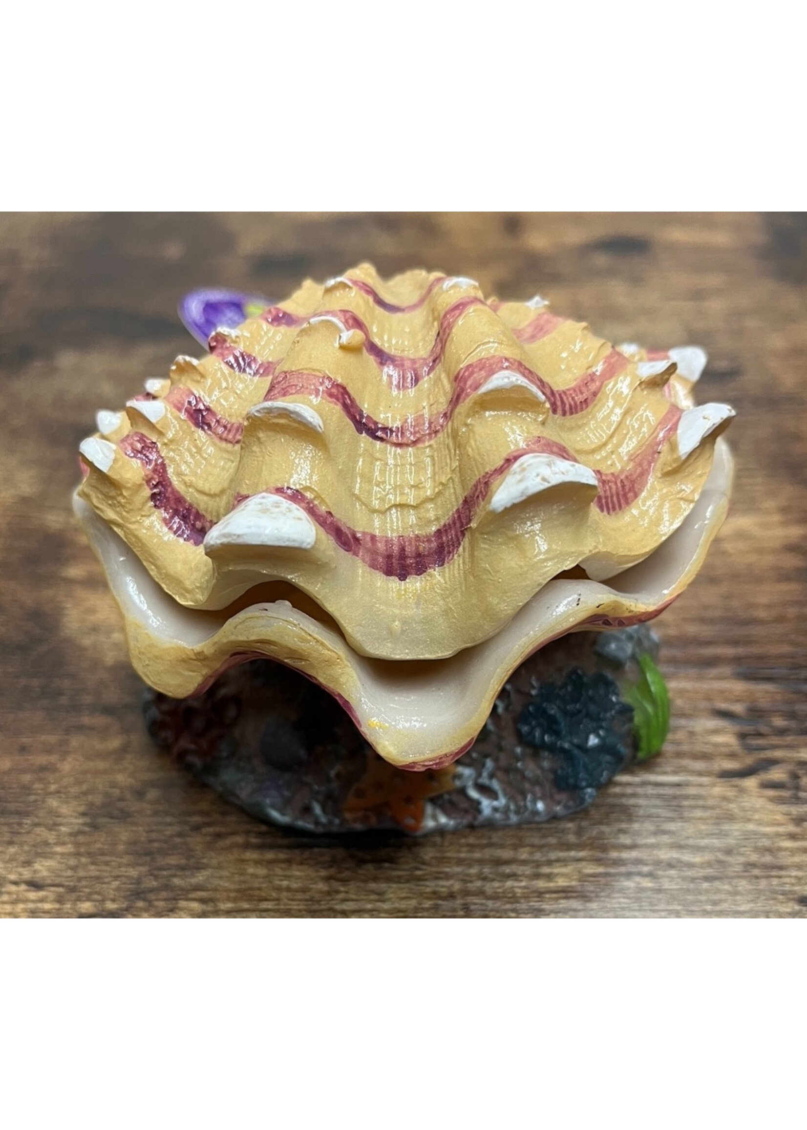 Aqua-Fit Aqua-Fit Aerating Polyresin Clam Shell