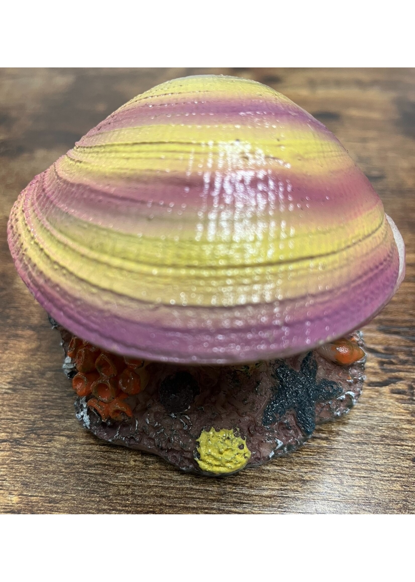 Aqua-Fit Aqua-Fit Aerating Polyresin Clam Shell