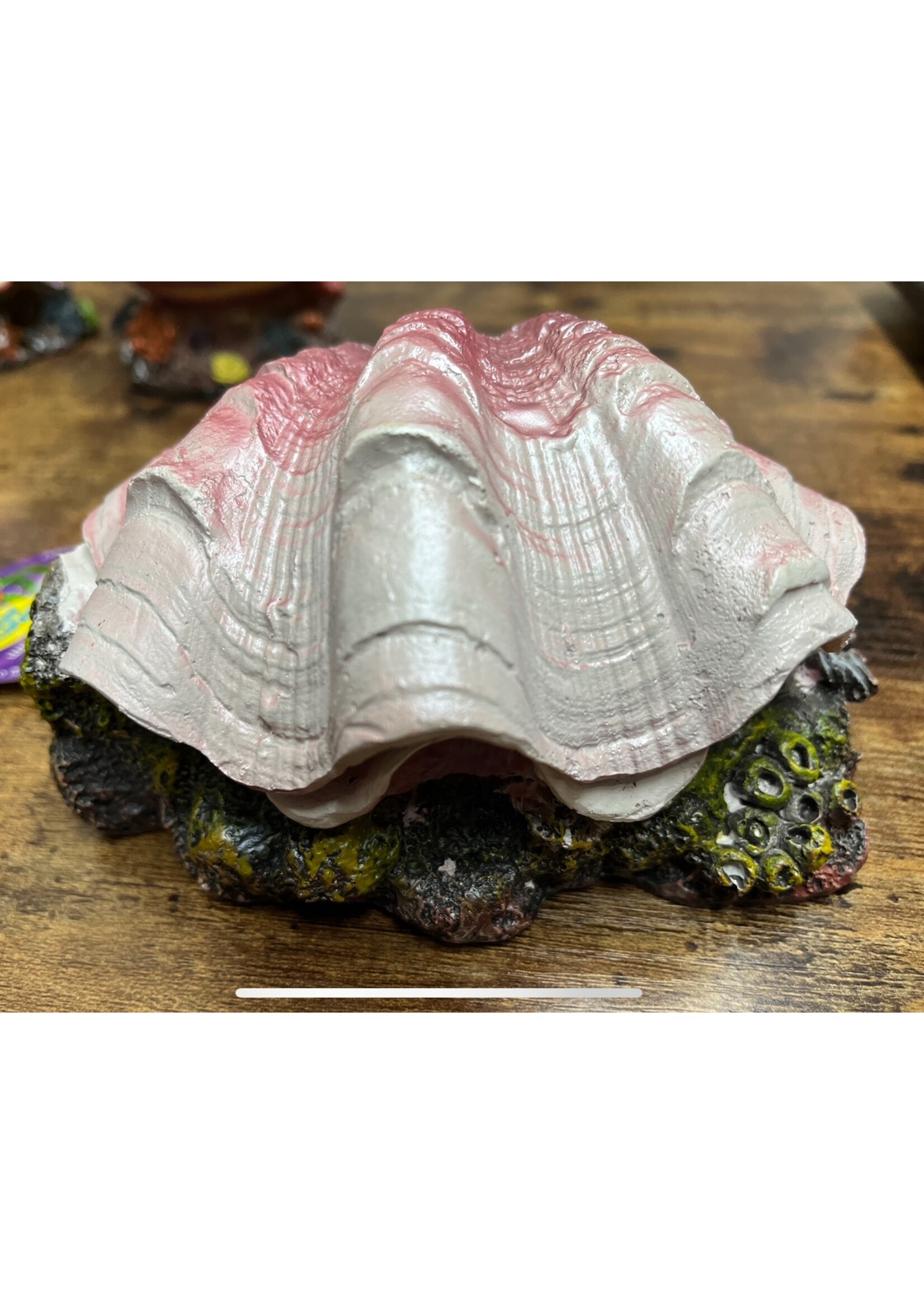 Aqua-Fit Aqua-Fit Aerating Polyresin Clam Shell
